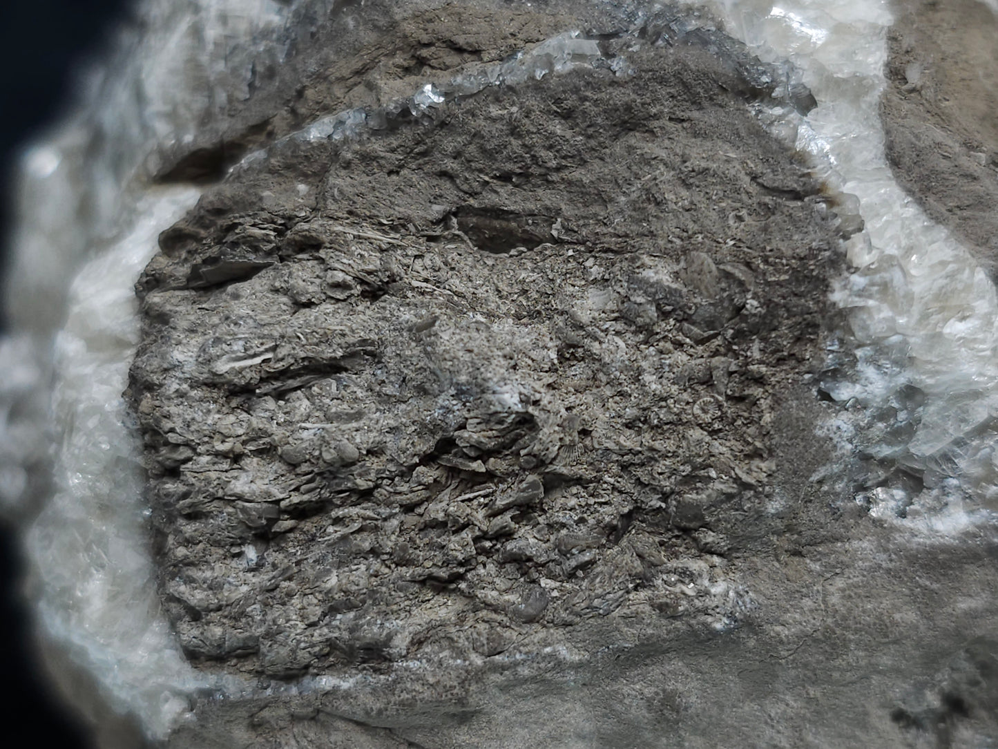 #33214 Super clear Nailhead Spar Calcite geode and Chalcopyrite ore and multiple small fossils in the matrix