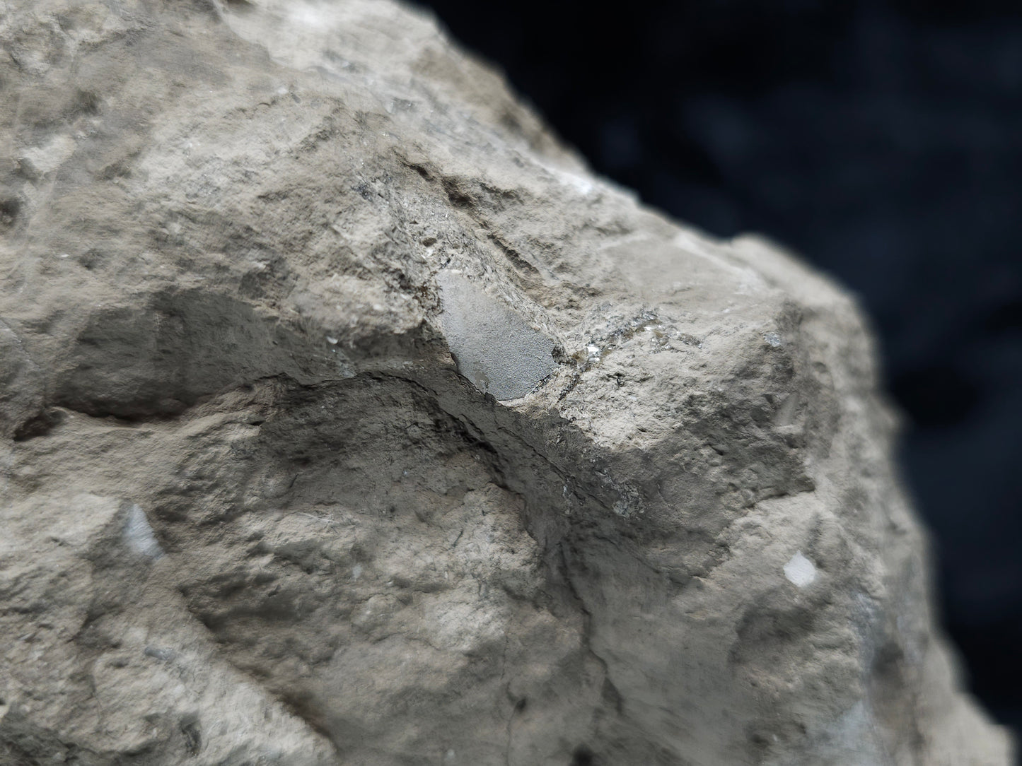 #33219 Super clear Nailhead Spar Calcite cluster and Chalcopyrite ore and multiple small fossils in the matrix