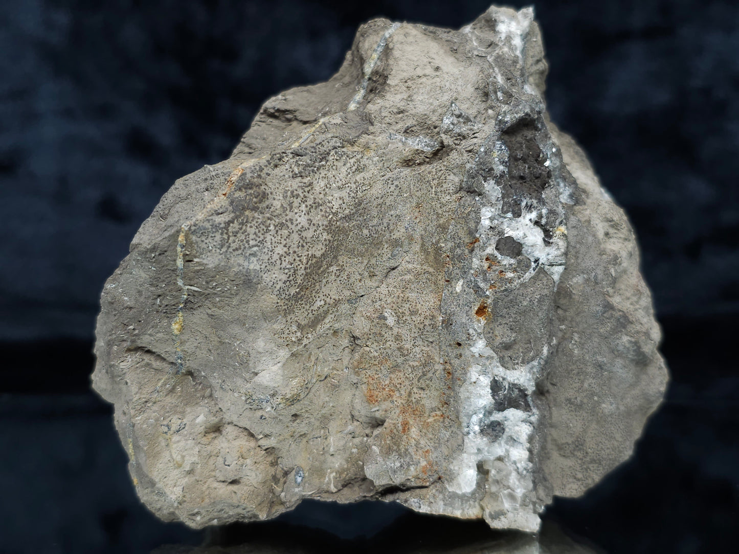 #33974 Super clear Nailhead Spar Calcite geode and Chalcopyrite ore and multiple small fossils in the matrix