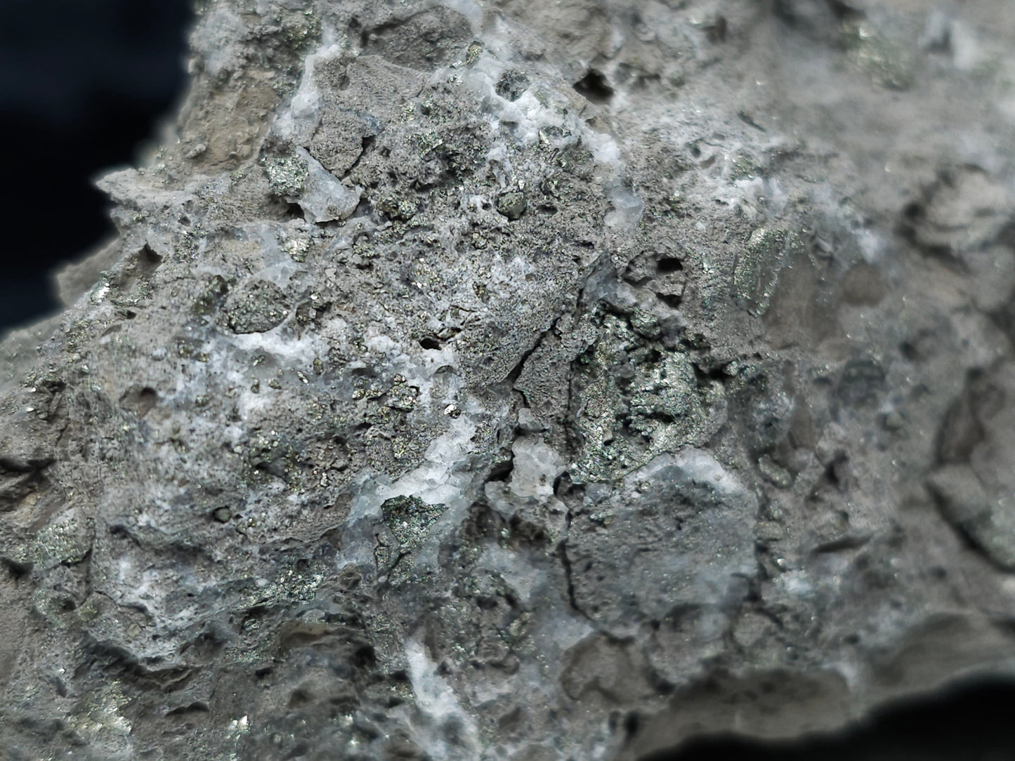 #35881 Chalcopyrite ore and Calcite with multiple fossil in the matrix