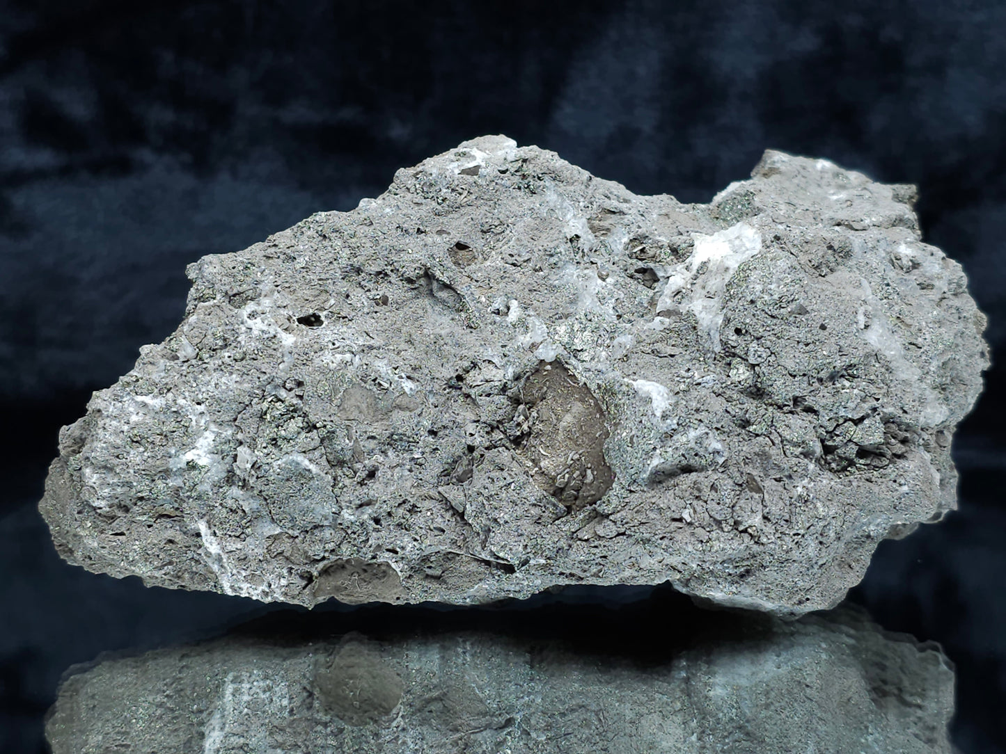 #35881 Chalcopyrite ore and Calcite with multiple fossil in the matrix