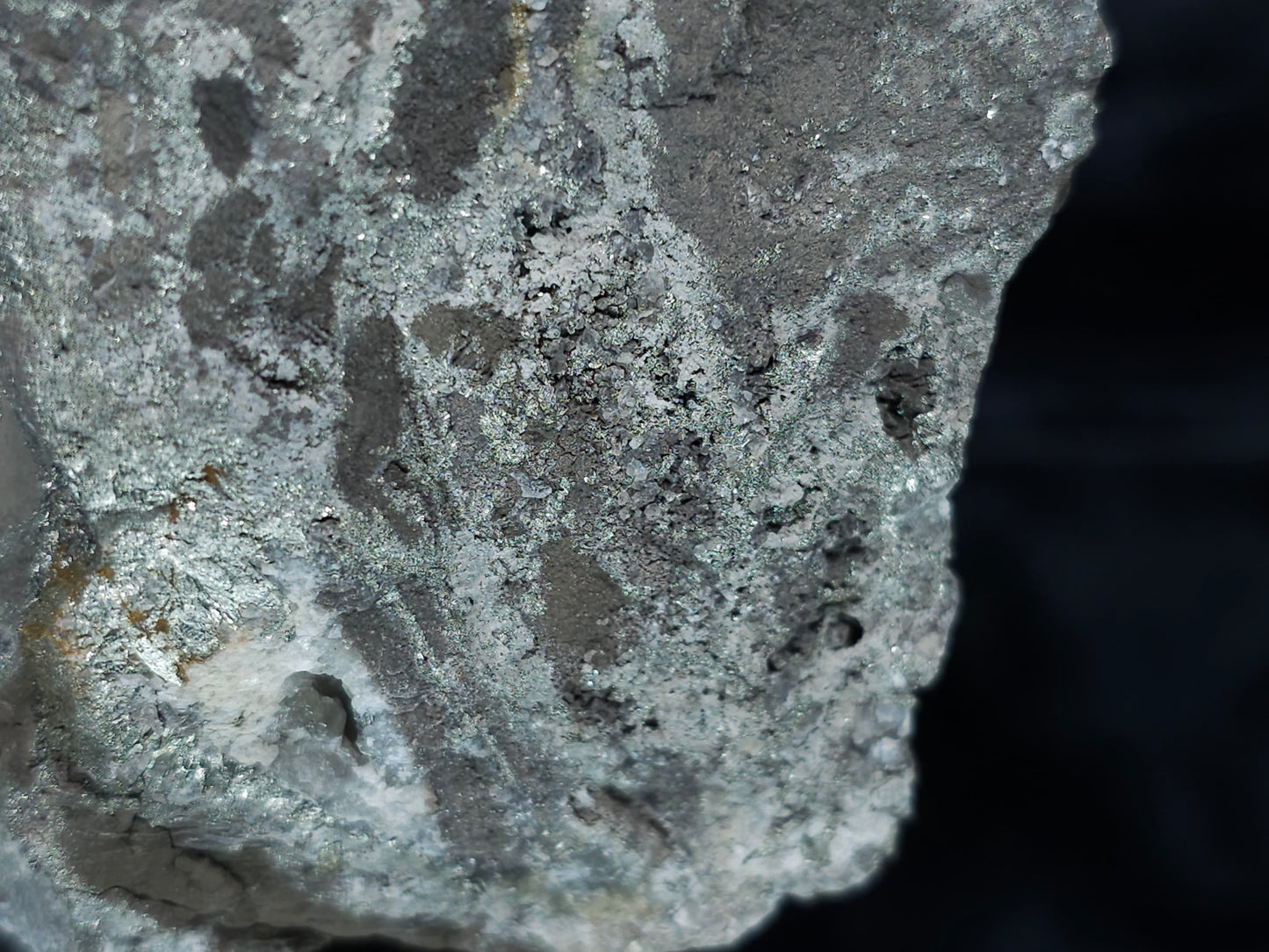 #35885 Chalcopyrite ore and Calcite formation with multiple fossil in the matrix