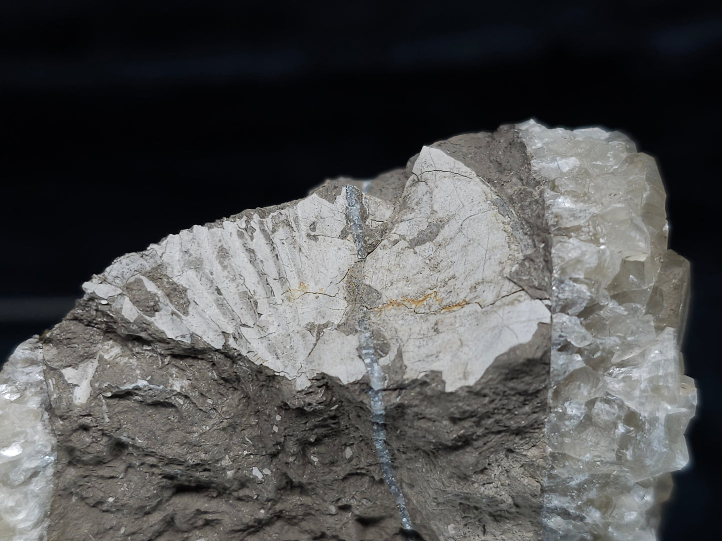 #33975 double phantom Nailhead Spar Calcite cluster and Chalcopyrite ore and awesome Trilobite fossil
