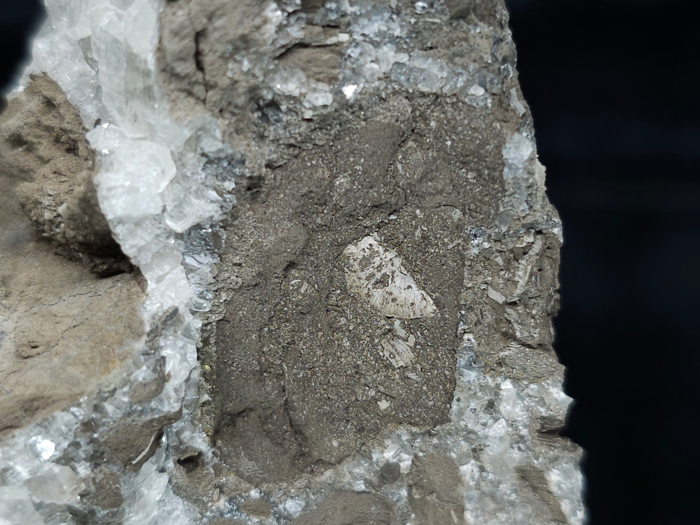 #34018-A Super clear Nailhead Spar Calcite cluster and Chalcopyrite ore and multiple small fossils in the matrix