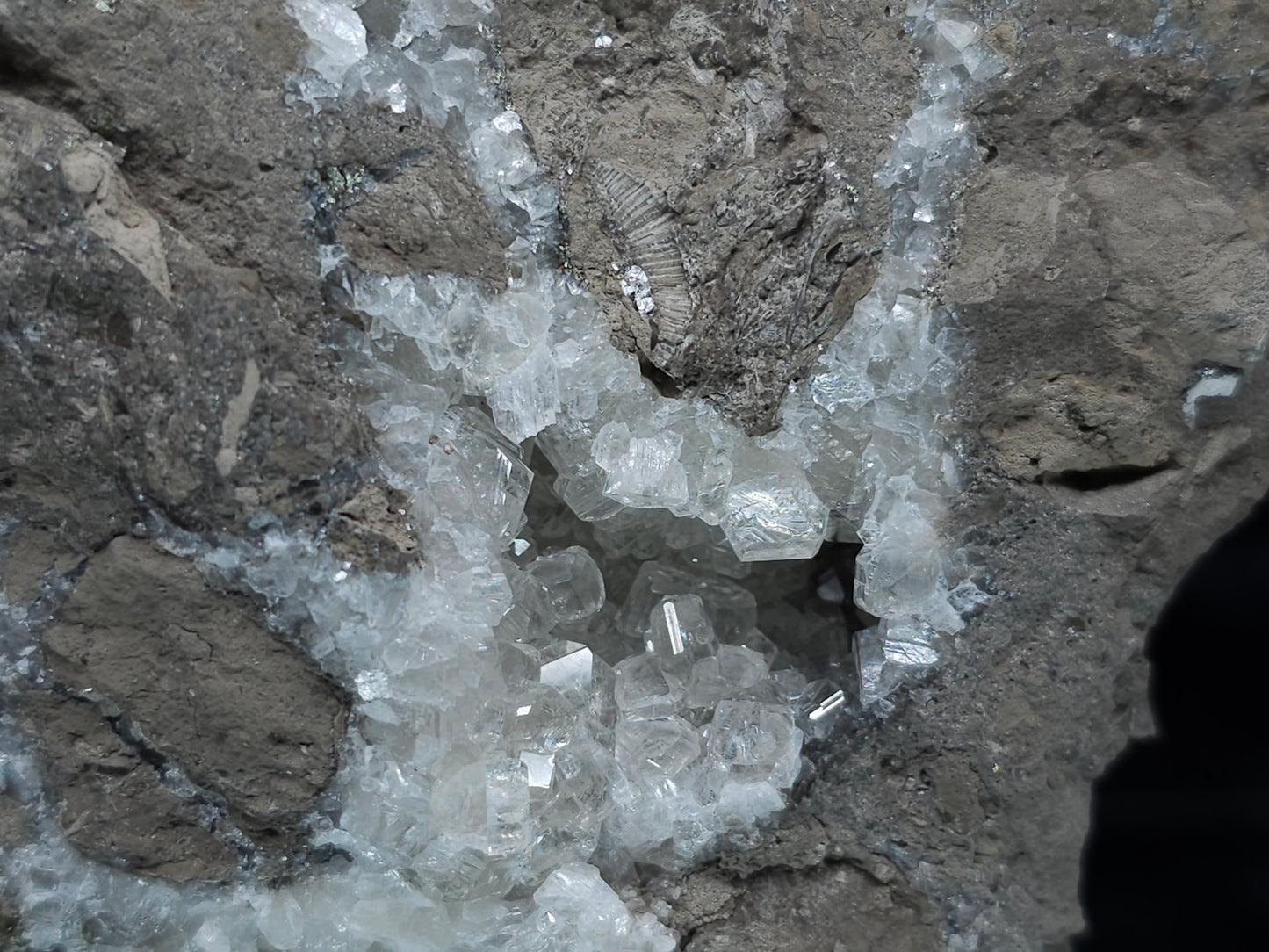 #34019 Super Clear Nailhead Spar Calcite geode it also have Chalcopyrite ore and multiple small fossils in the matrix