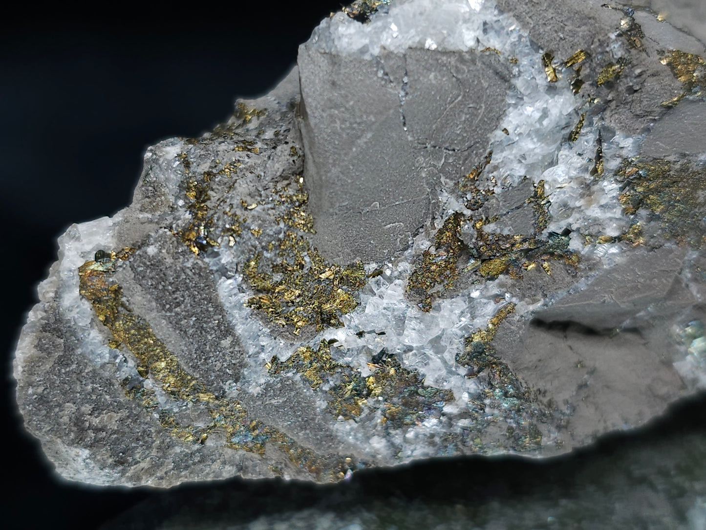 #66035 Chalcopyrite ore with small Calcite lines and multiple fossils
