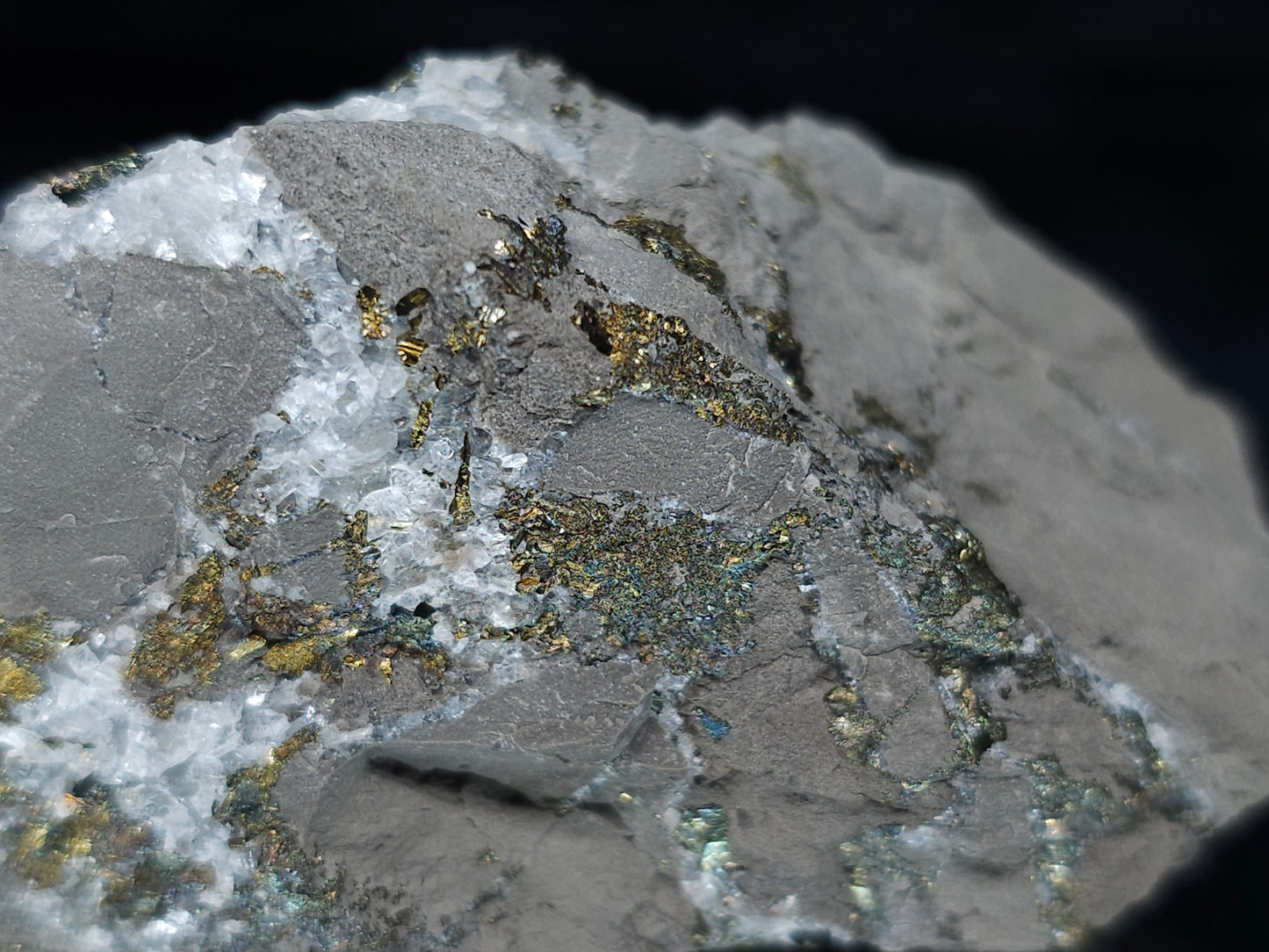 #66035 Chalcopyrite ore with small Calcite lines and multiple fossils
