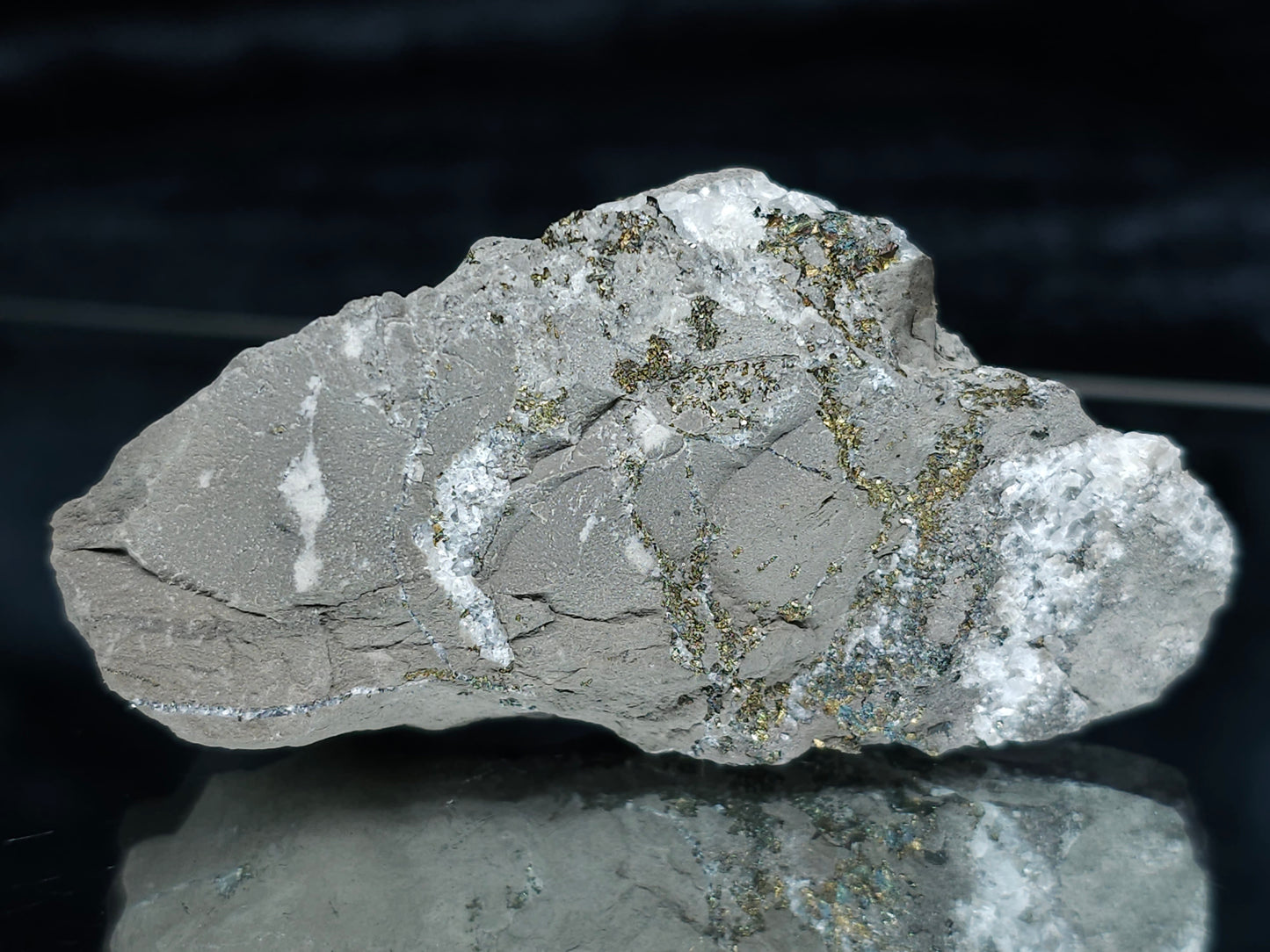 #66035 Chalcopyrite ore with small Calcite lines and multiple fossils