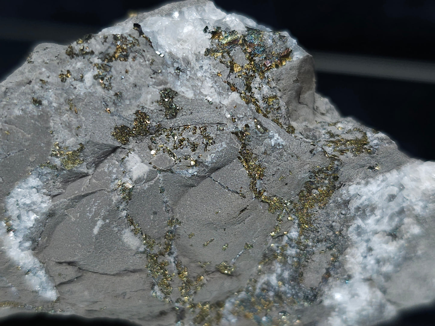 #66035 Chalcopyrite ore with small Calcite lines and multiple fossils