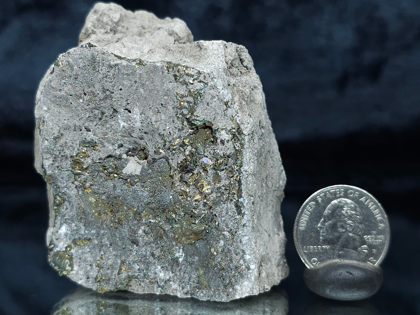 #66134 Iridescent Golden and peacock Chalcopyrite ore on multiple fossils