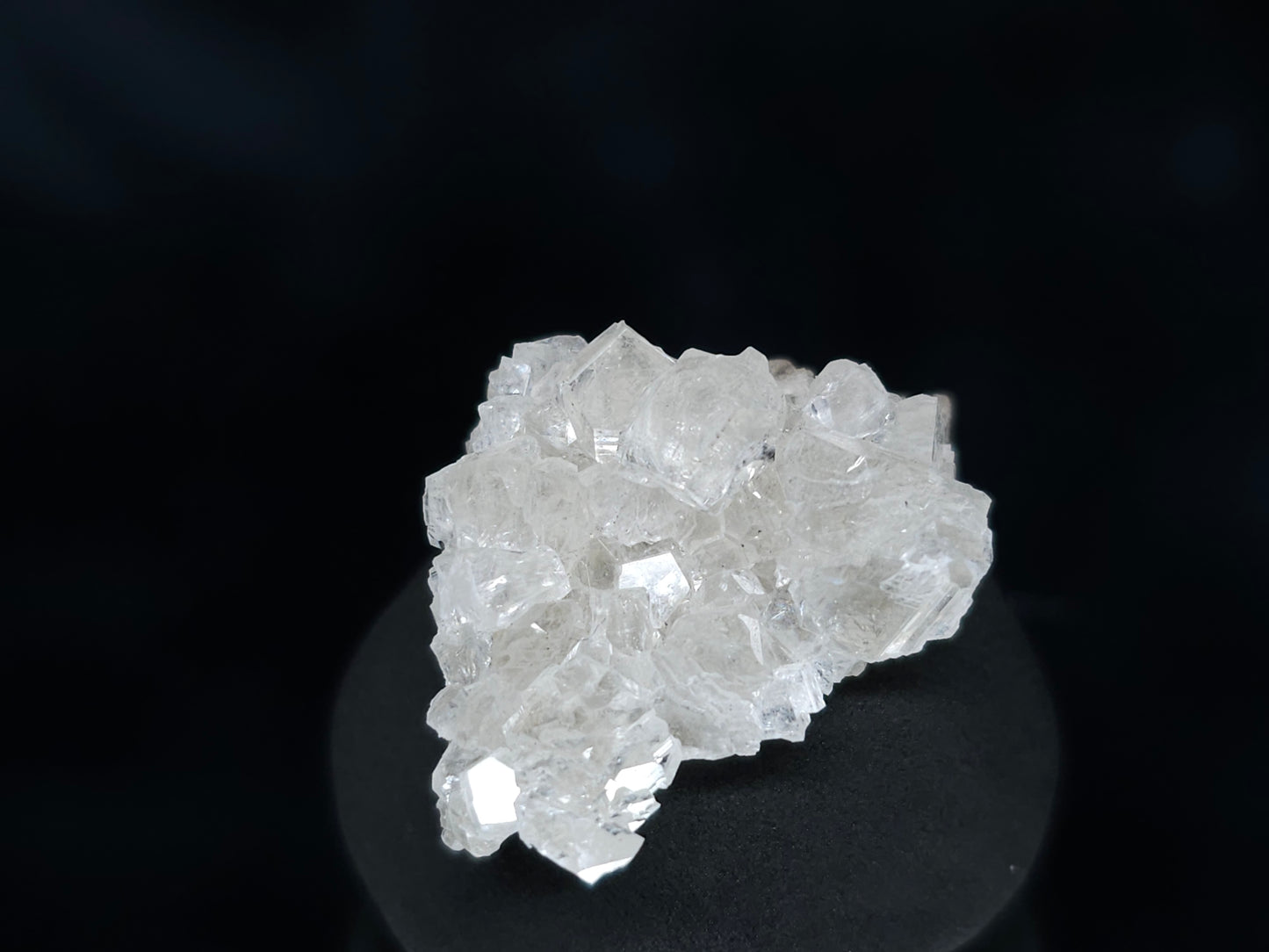 #33526 Super clear Nailhead Spar Calcite tiny cluster and multiple small fossils in the matrix