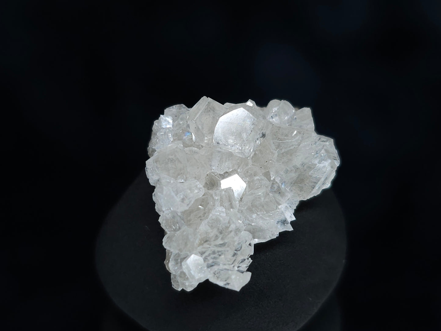 #33526 Super clear Nailhead Spar Calcite tiny cluster and multiple small fossils in the matrix
