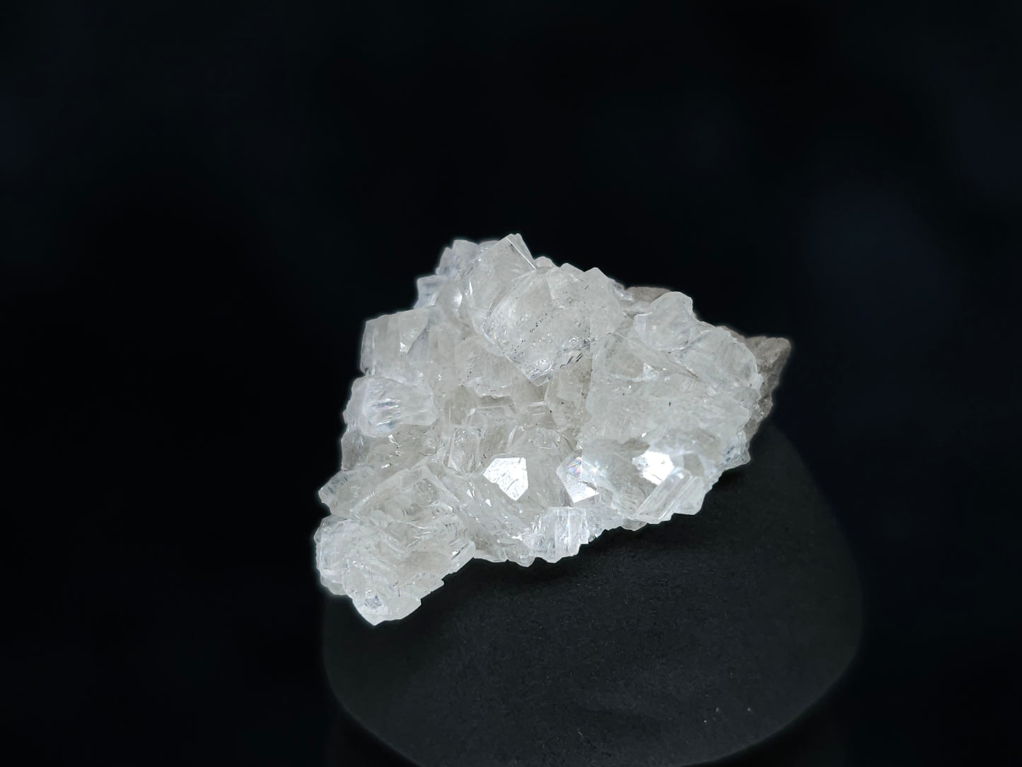 #33526 Super clear Nailhead Spar Calcite tiny cluster and multiple small fossils in the matrix
