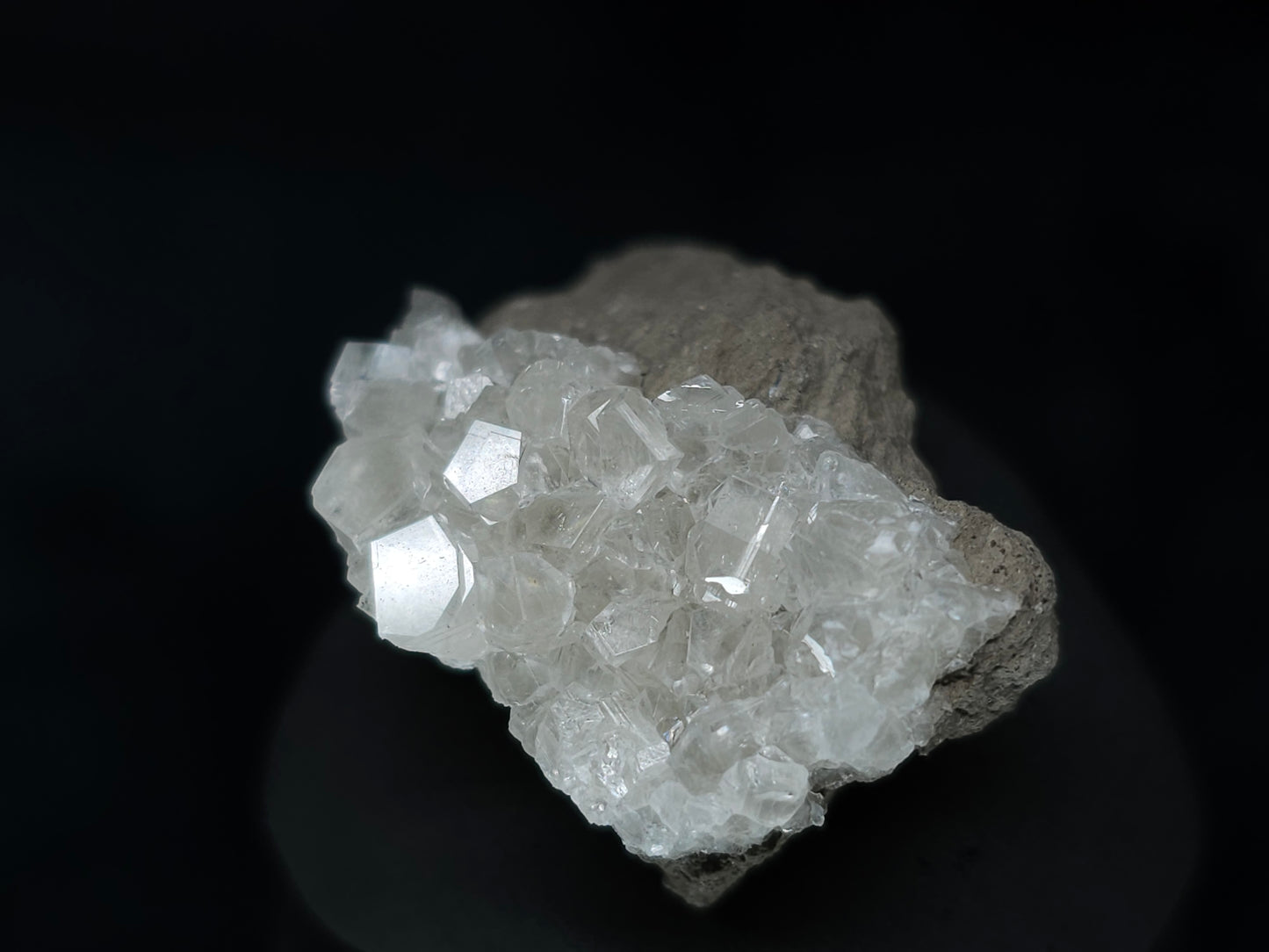 #33602 Super clear Nailhead Spar Calcite tiny cluster and multiple small fossils in the matrix