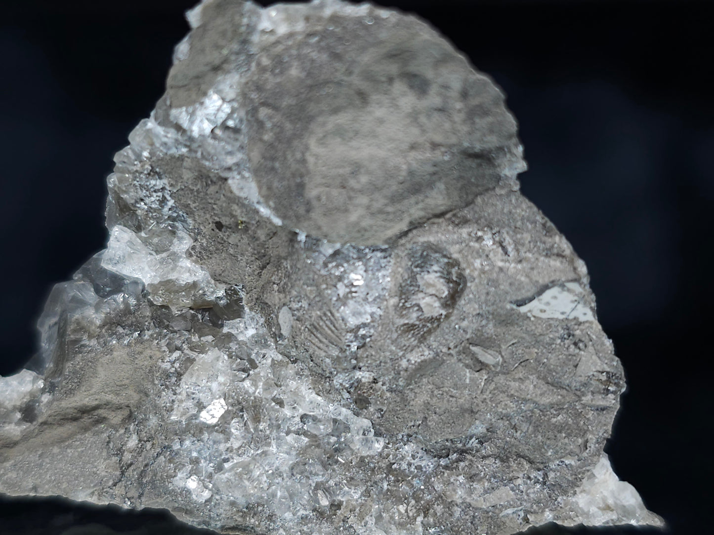 #33646 Super clear Nailhead Spar Calcite tiny cluster and Chalcopyrite ore and multiple small fossils in the matrix