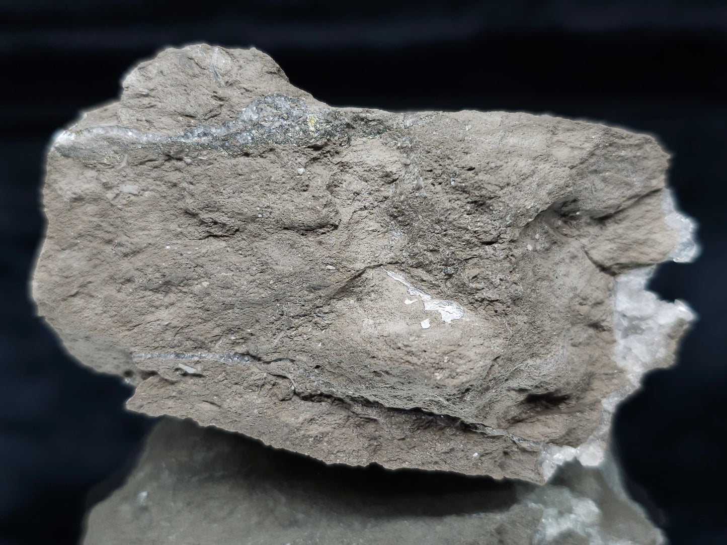 #36630 Super clear Nailhead Spar Calcite and Chalcopyrite ore and multiple small fossils in the matrix
