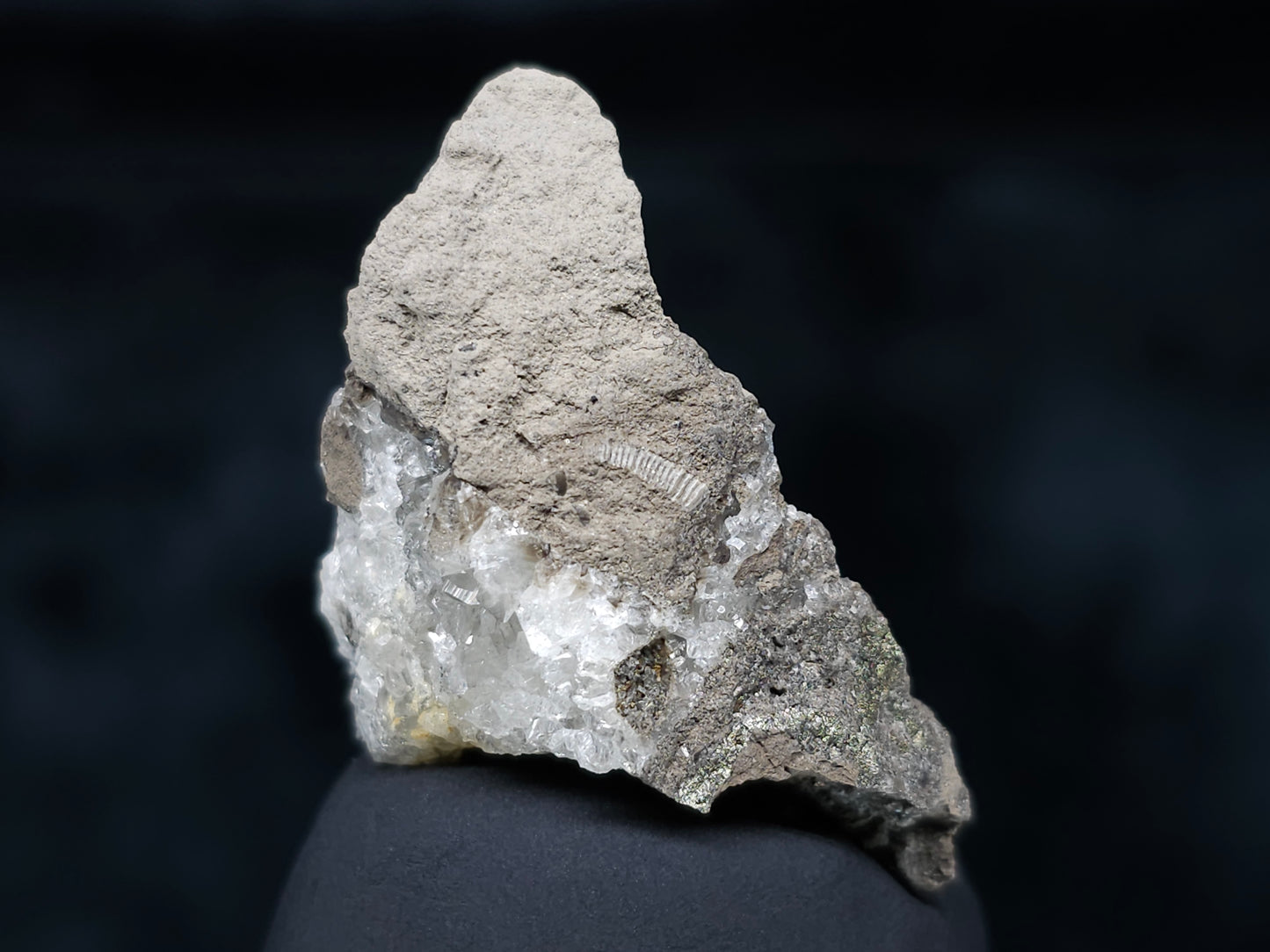 #36655 Super clear Nailhead Spar Calcite and Chalcopyrite ore and multiple small fossils in the matrix