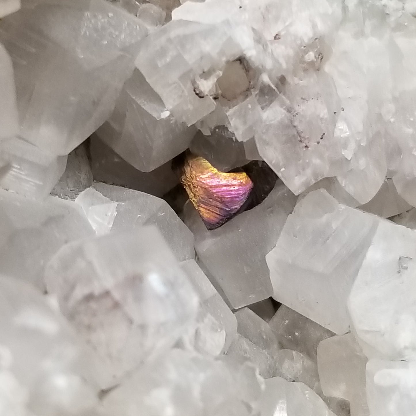 #11043 Gold and pink Chalcopyrite on clear Combined form Calcite