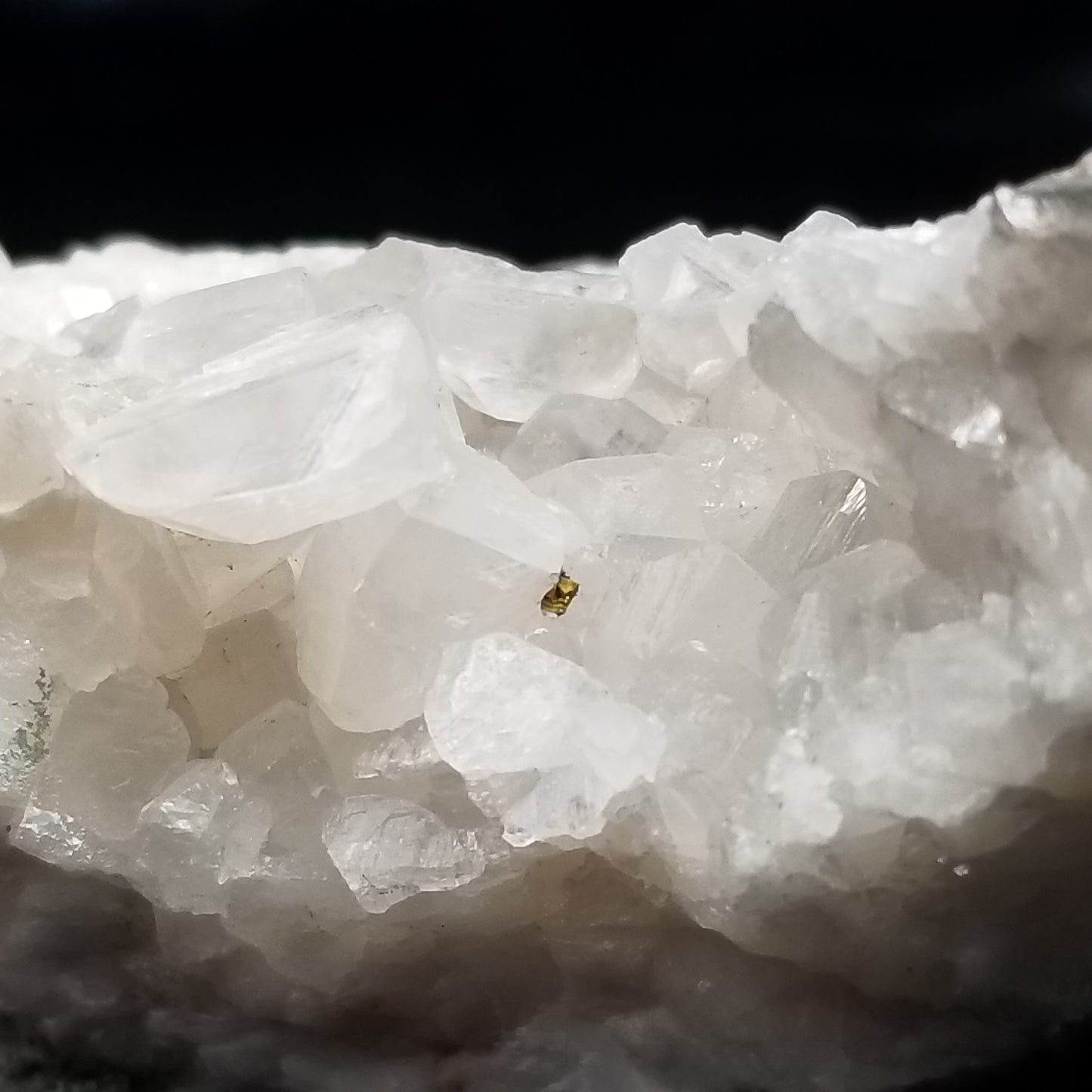 #11159 Iridescent Chalcopyrite on clear Combined form Calcite