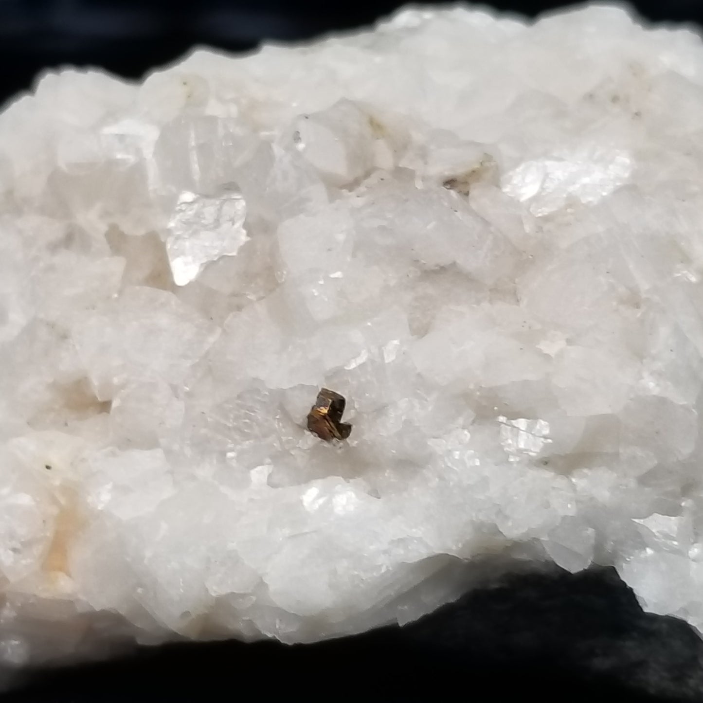 #11287 Chalcopyrite on white Combined form Calcite on matrix