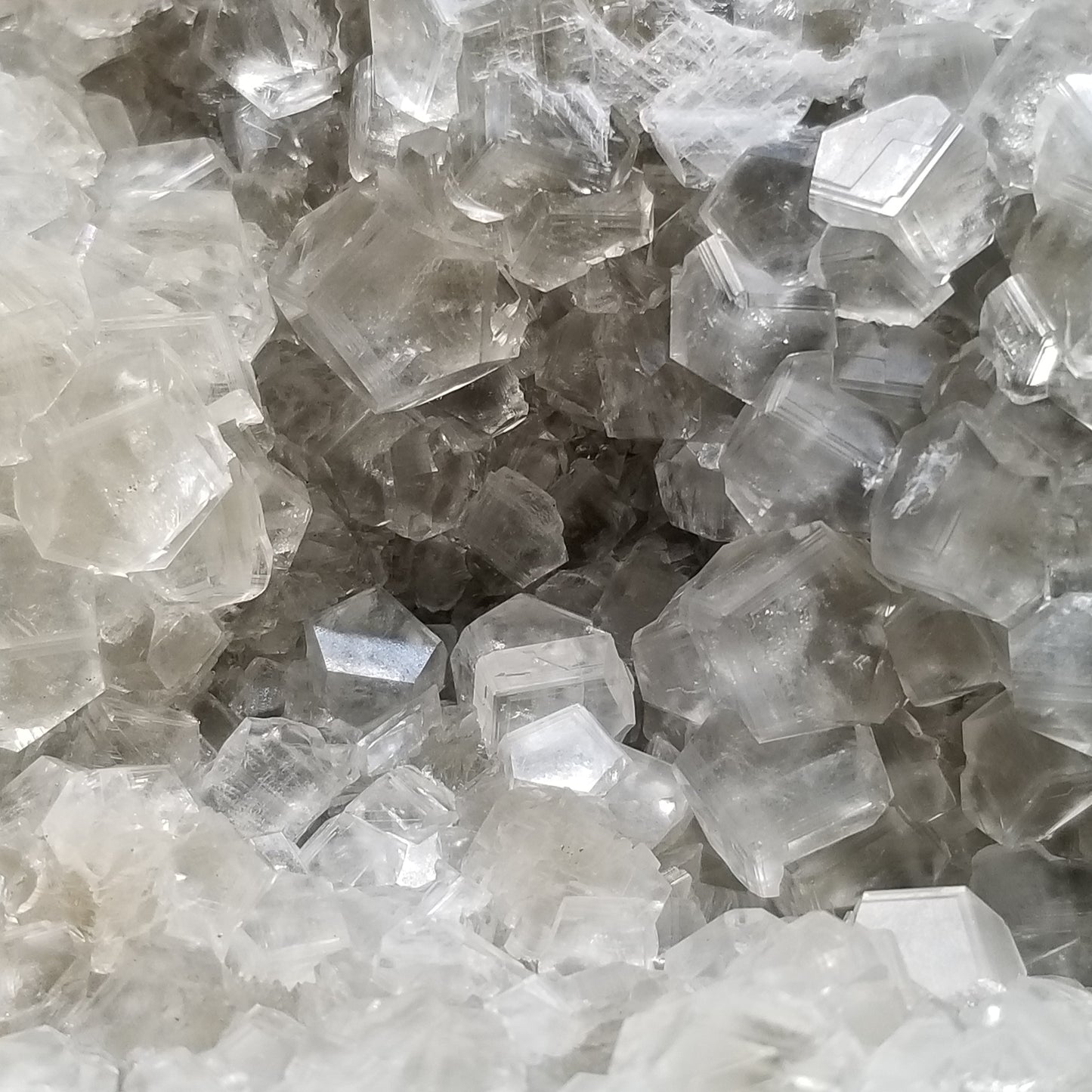 #33000 Clear Nailhead Spar Calcite on Chalcopyrite ore and multiple small fossils in the matrix