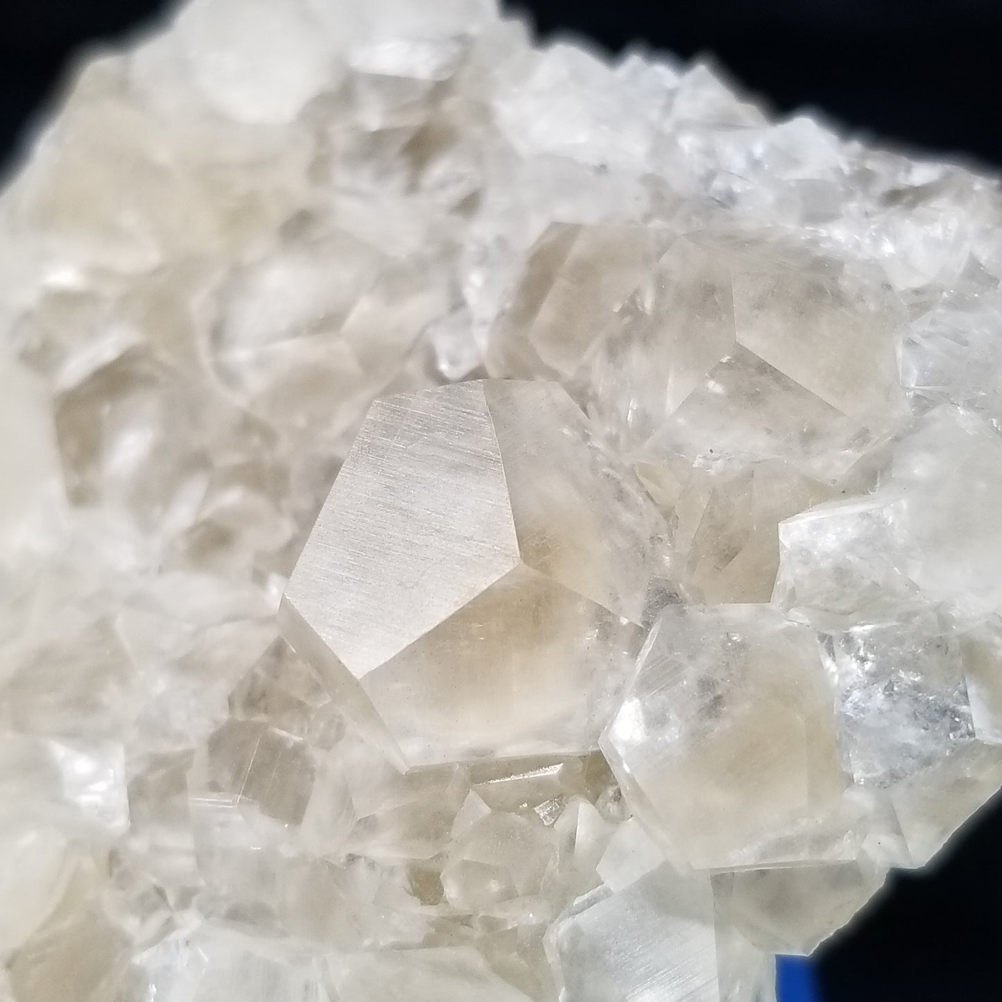 #33003 Super clear Nailhead Spar Calcite cluster, Chalcopyrite ore and multiple small fossils in the matrix