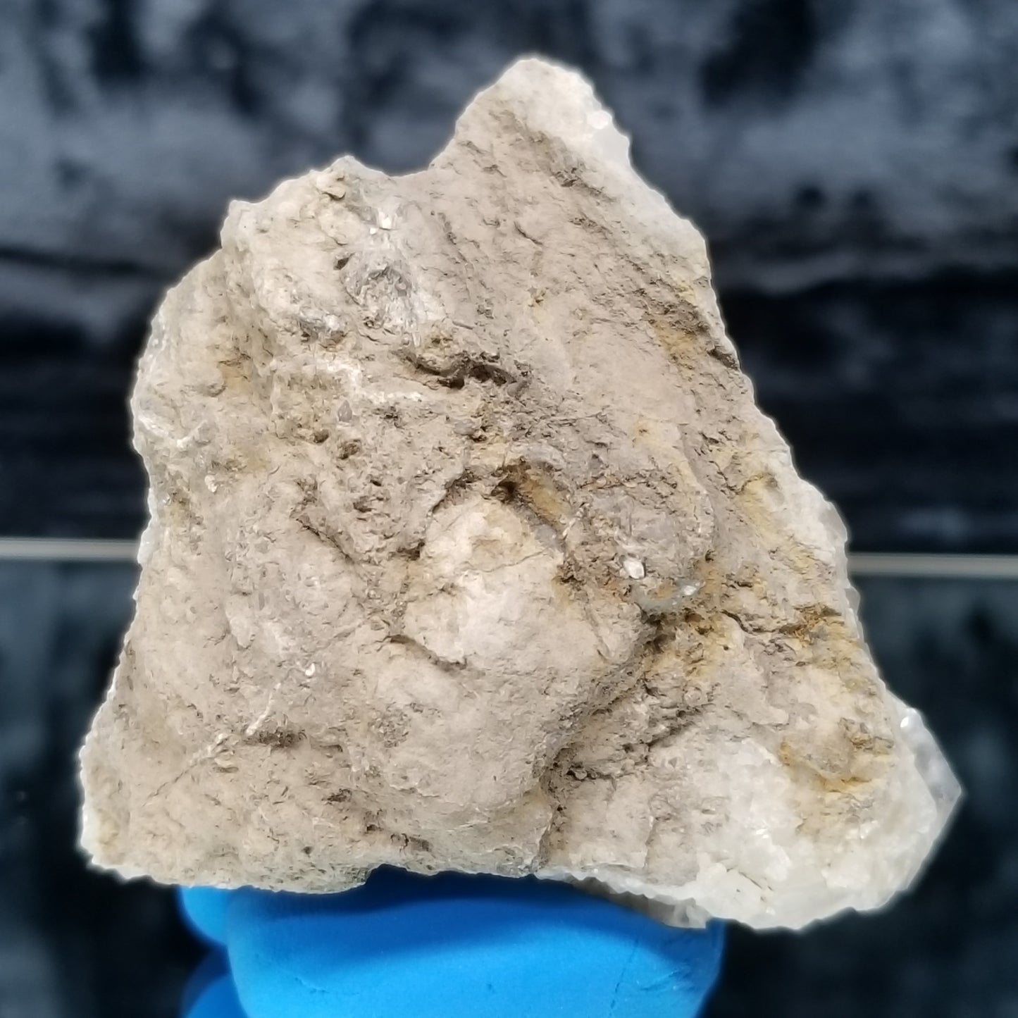 #33004 Super clear Nailhead Spar Calcite cluster, Chalcopyrite ore and multiple small fossils in the matrix