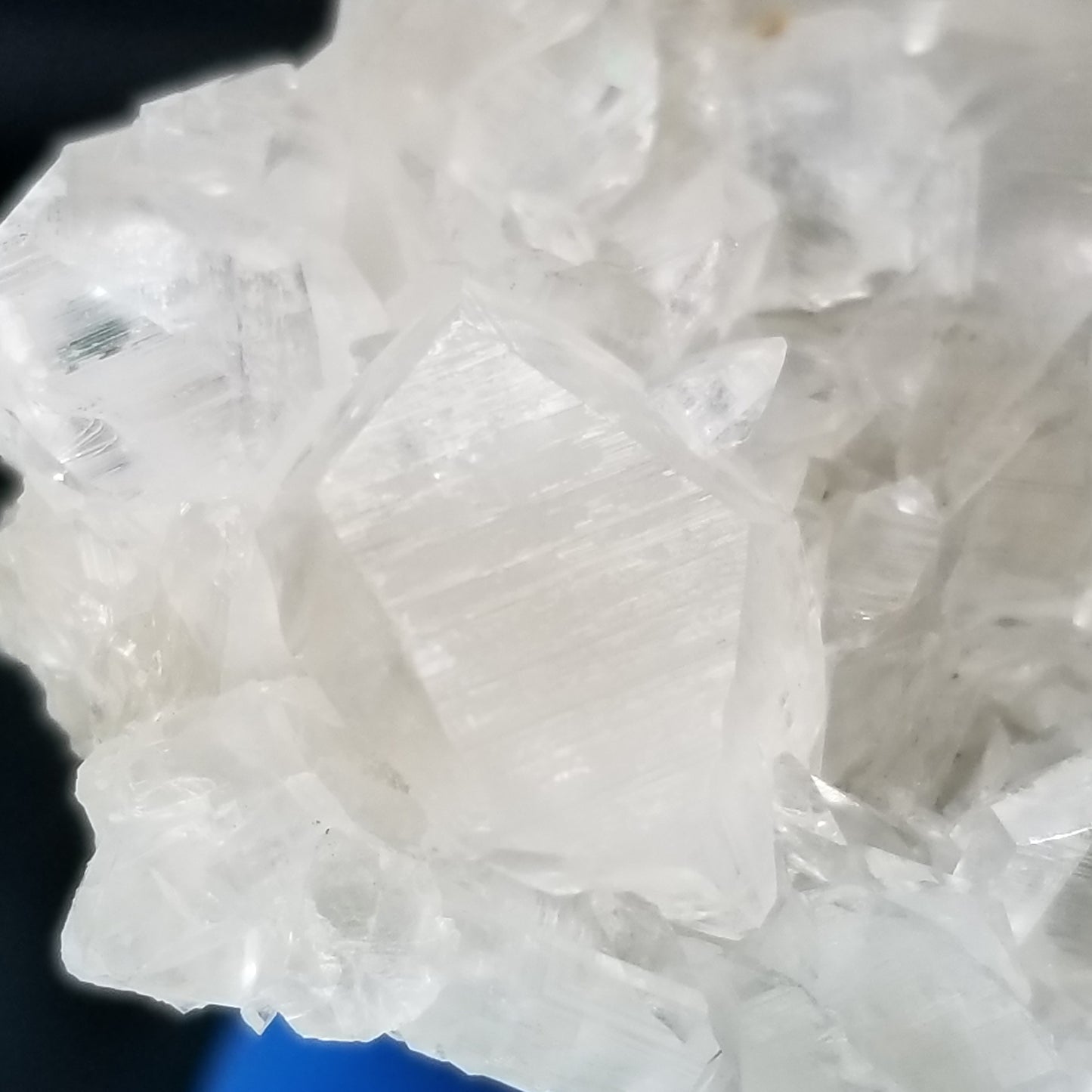 #33006 Super clear Nailhead Spar Calcite cluster, Chalcopyrite ore and multiple small fossils in the matrix