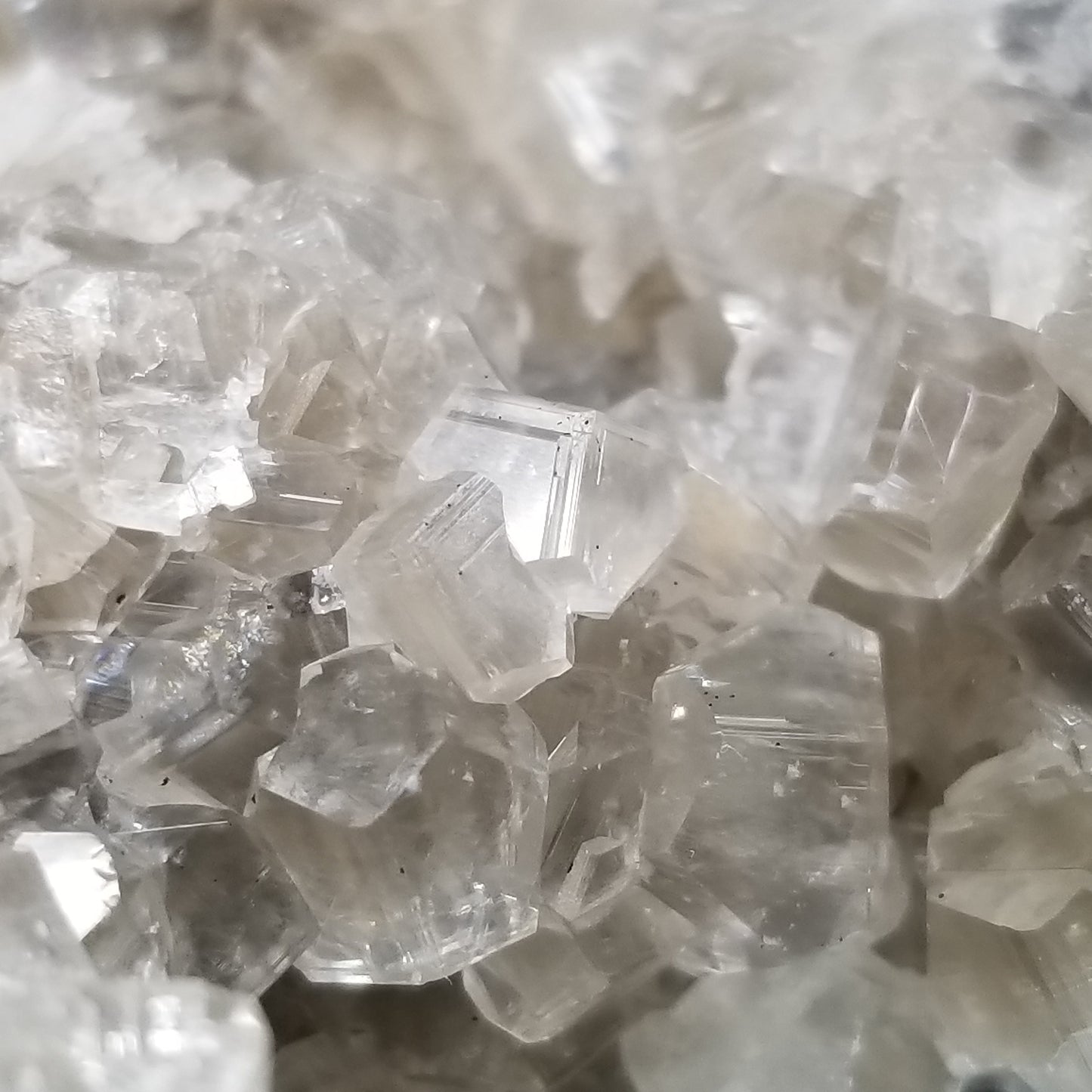 #33007 Super clear Nailhead Spar Calcite cluster, Chalcopyrite ore and multiple small fossils in the matrix