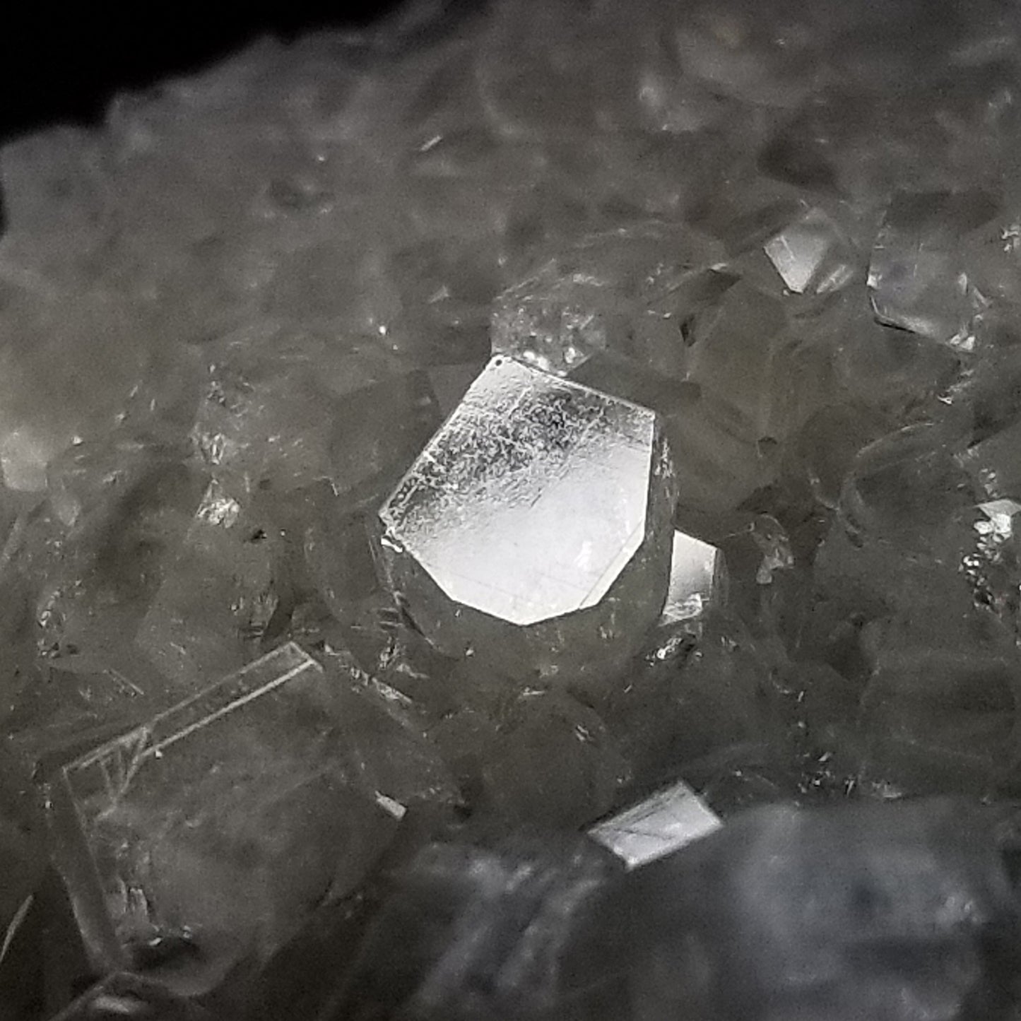 #33011 Super clear Nailhead Spar Calcite cluster, Chalcopyrite ore and multiple small fossils in the matrix