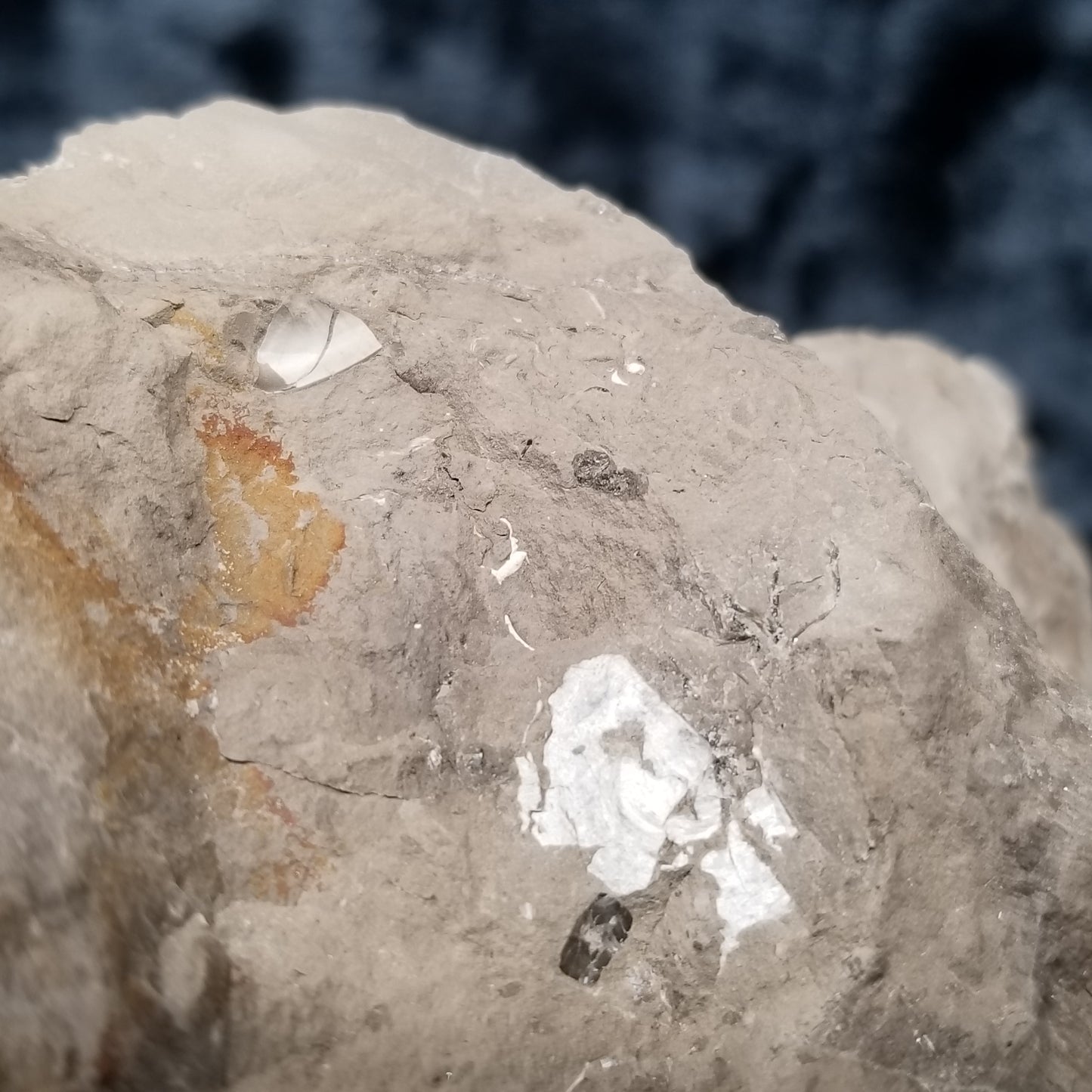 #33024 Super clear Nailhead Spar Calcite geode, Chalcopyrite ore and multiple small fossils in the matrix