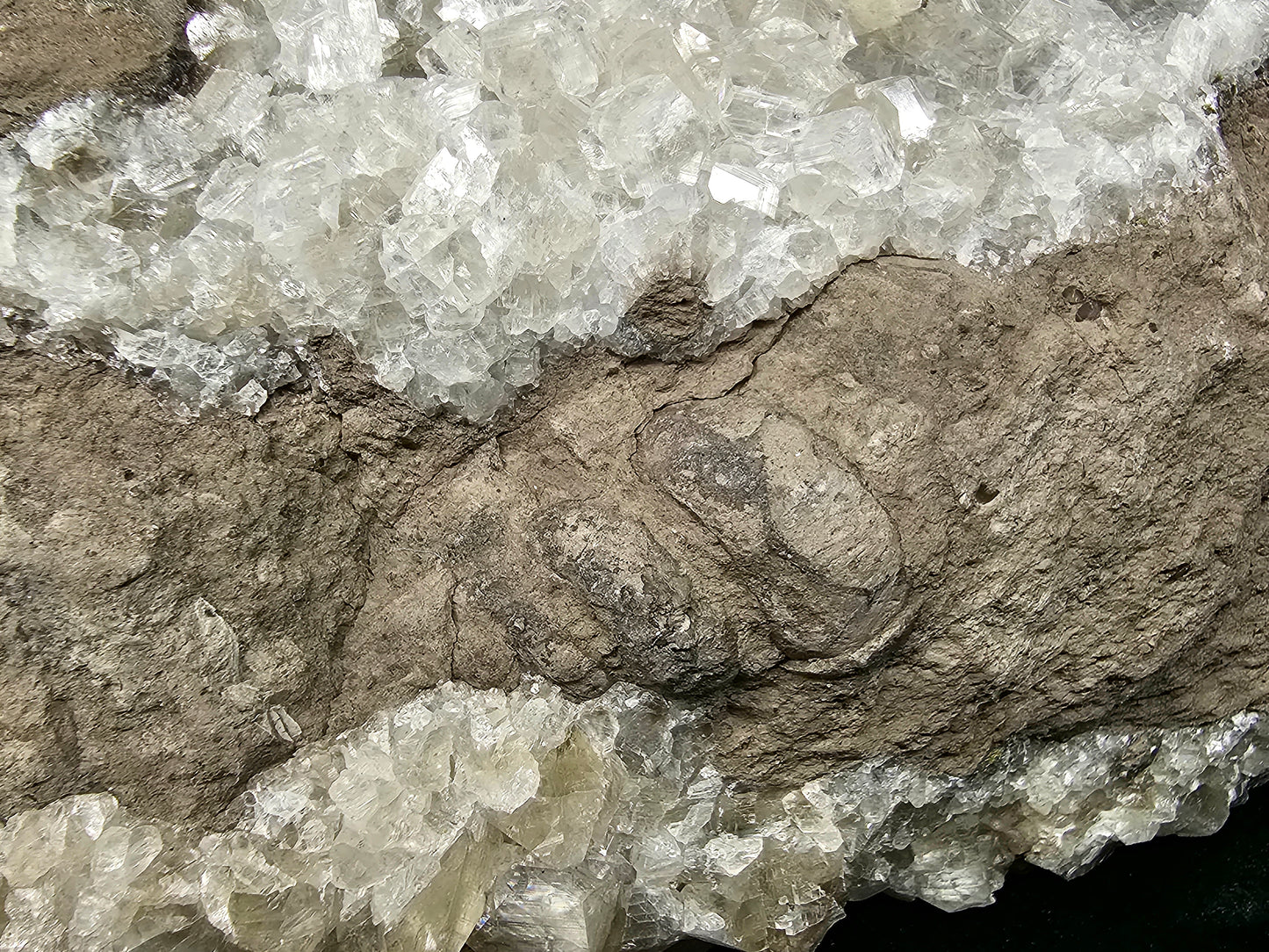 #33031 Super clear Nailhead Spar Calcite cluster, Chalcopyrite ore, rare **Turritella** and multiple small fossils in the matrix