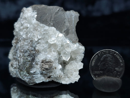 #33097 Super clear Nailhead Spar Calcite cluster, Chalcopyrite ore and multiple small fossils in the matrix