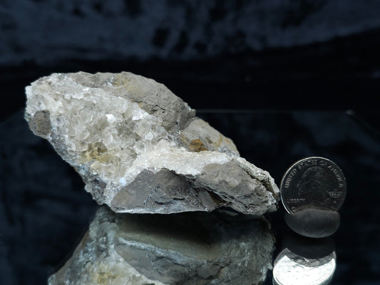 #33075 Super clear Nailhead Spar Calcite cluster, Chalcopyrite ore and multiple small fossils in the matrix