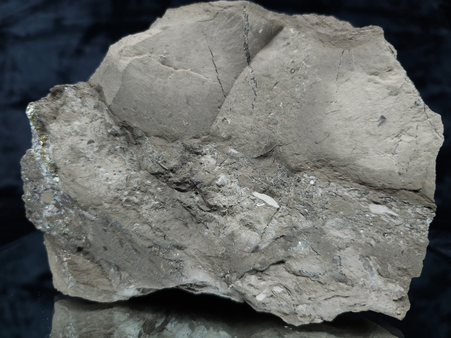 #33119 Super clear Nailhead Spar Calcite cluster with Chalcopyrite ore and multiple small fossils in the matrix