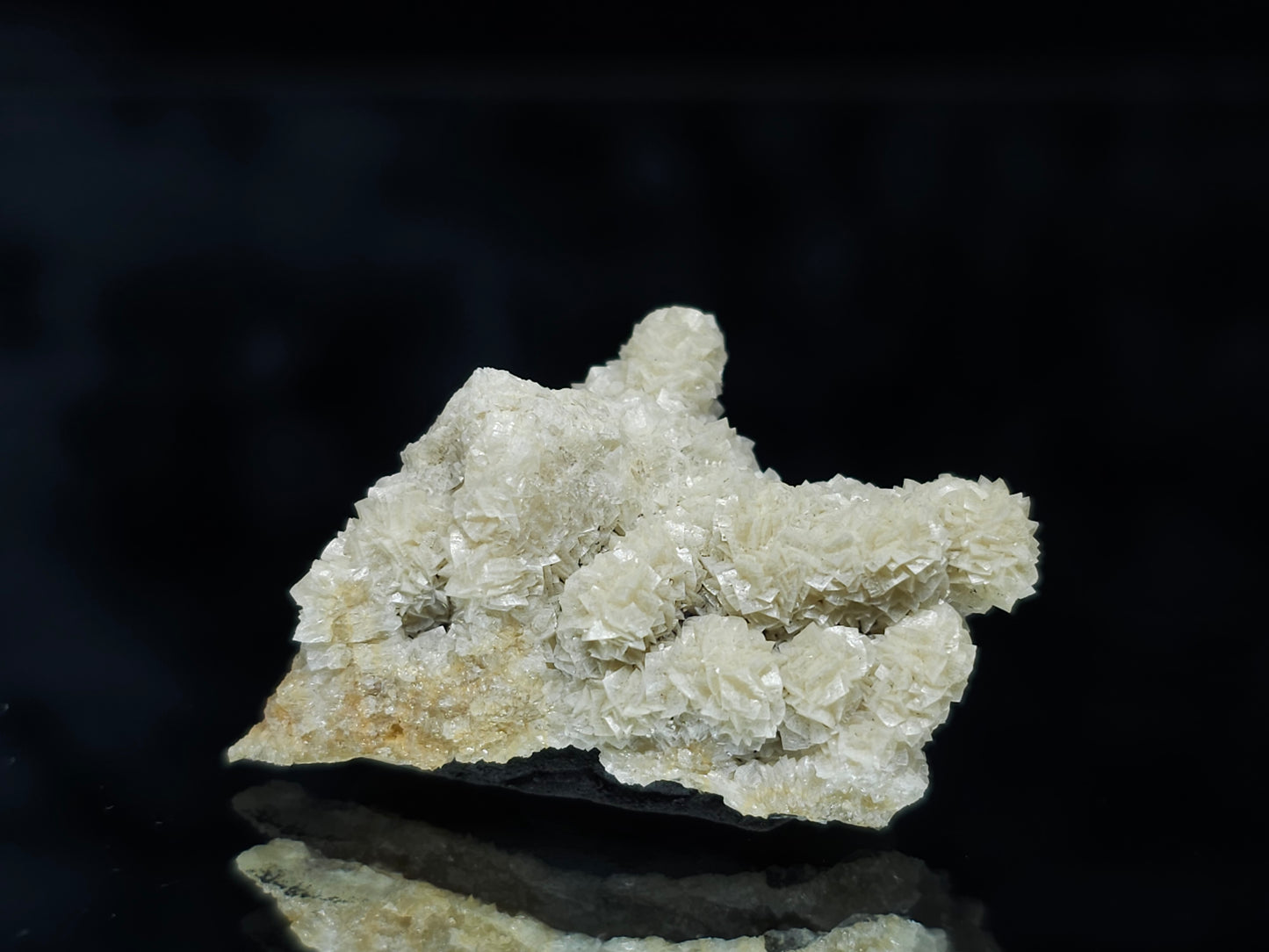 #88058 Cream-white Calcite pseudomorph after needle Calcite on matrix