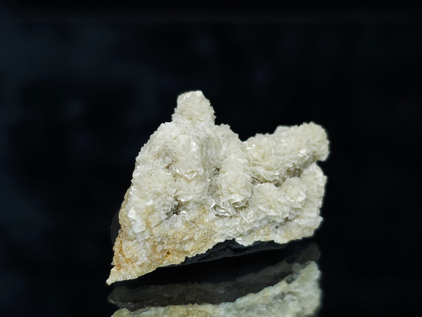 #88058 Cream-white Calcite pseudomorph after needle Calcite on matrix