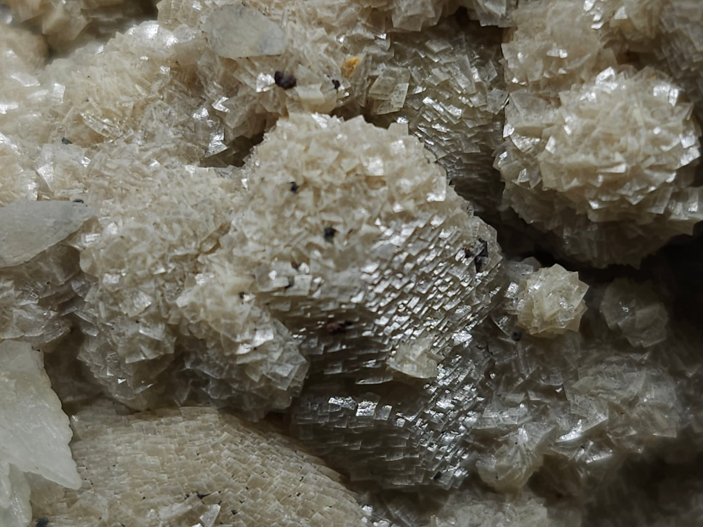 #10030 Hematite and Dogtooth Spar Calcite on white Calcite pseudomorph after Calcite formation