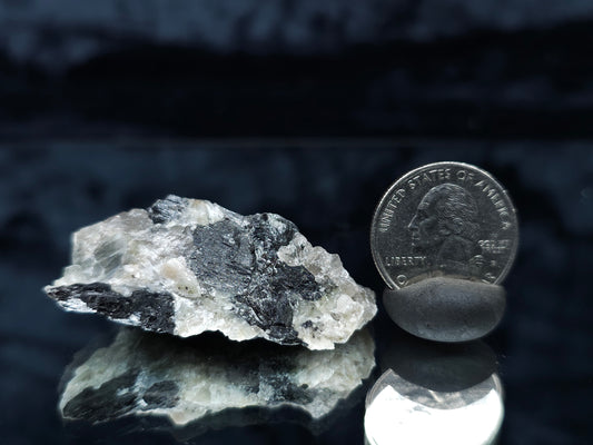 #77020 Rough Black Tourmaline with Quartz