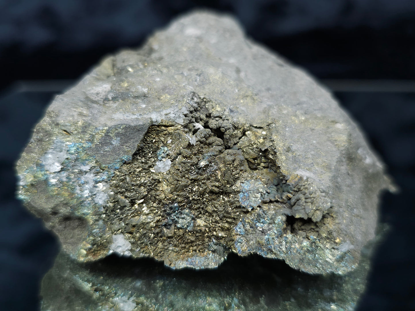 #55003 Peacock ore Chalcopyrite with Calcite and multiple small fossils on Sedimentary matrix.