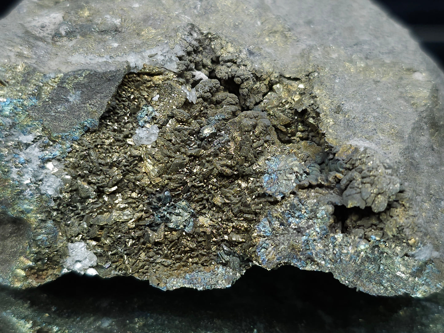 #55003 Peacock ore Chalcopyrite with Calcite and multiple small fossils on Sedimentary matrix.