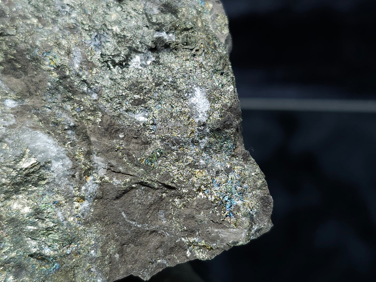 #55003 Peacock ore Chalcopyrite with Calcite and multiple small fossils on Sedimentary matrix.