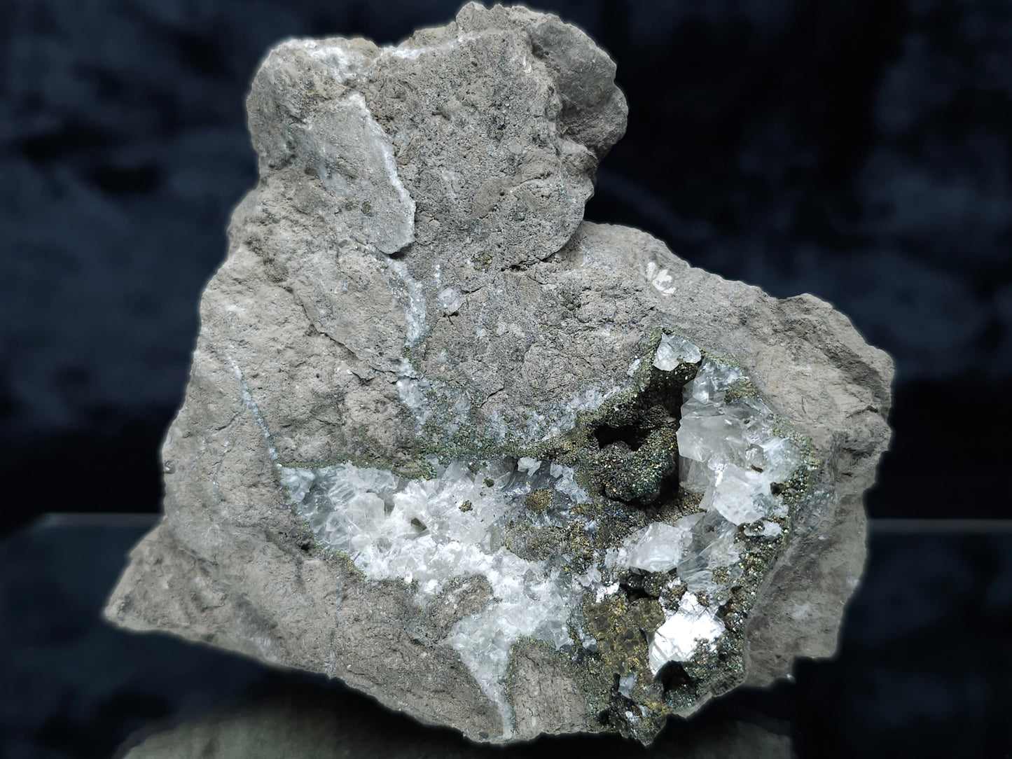 #55006 Clear Baryte crystals after peacock Chalcopyrite ore with multiple fossils in Sedimentary matrix.