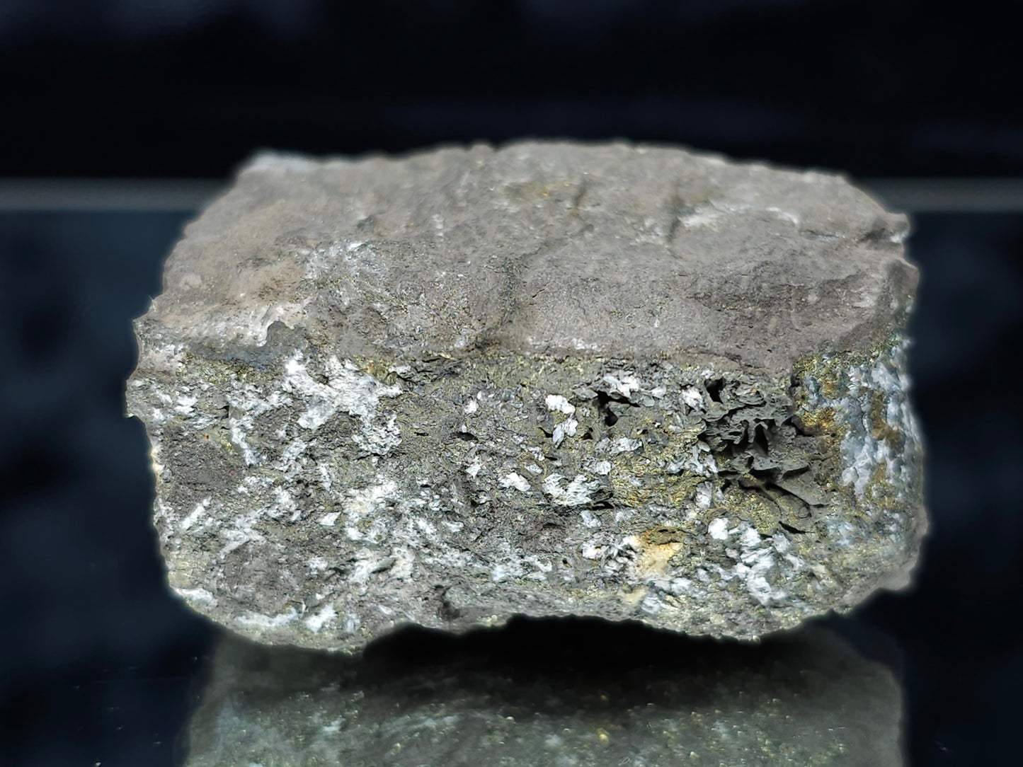 #55007 Fossil flower with Chalcopyrite coating with multiple fossils in the Sedimentary matrix