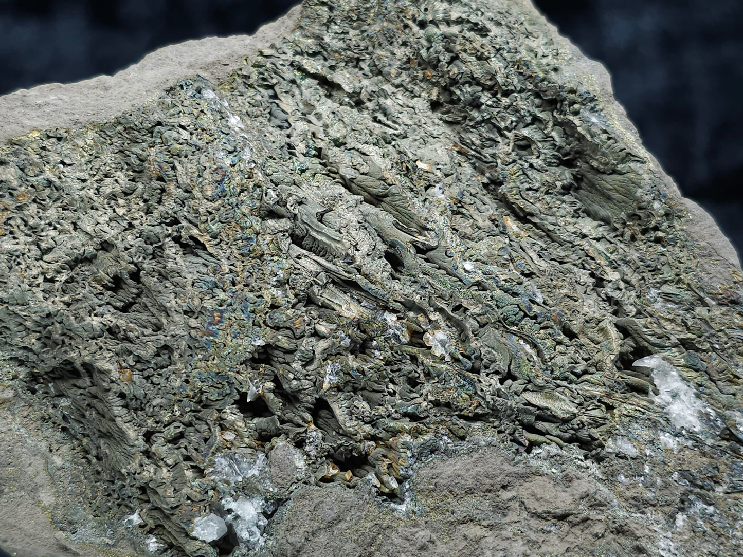 #55008 Fossil flower with peacock ore Chalcopyrite coating and Nailhead Spar Calcite with multiple fossils in the matrix