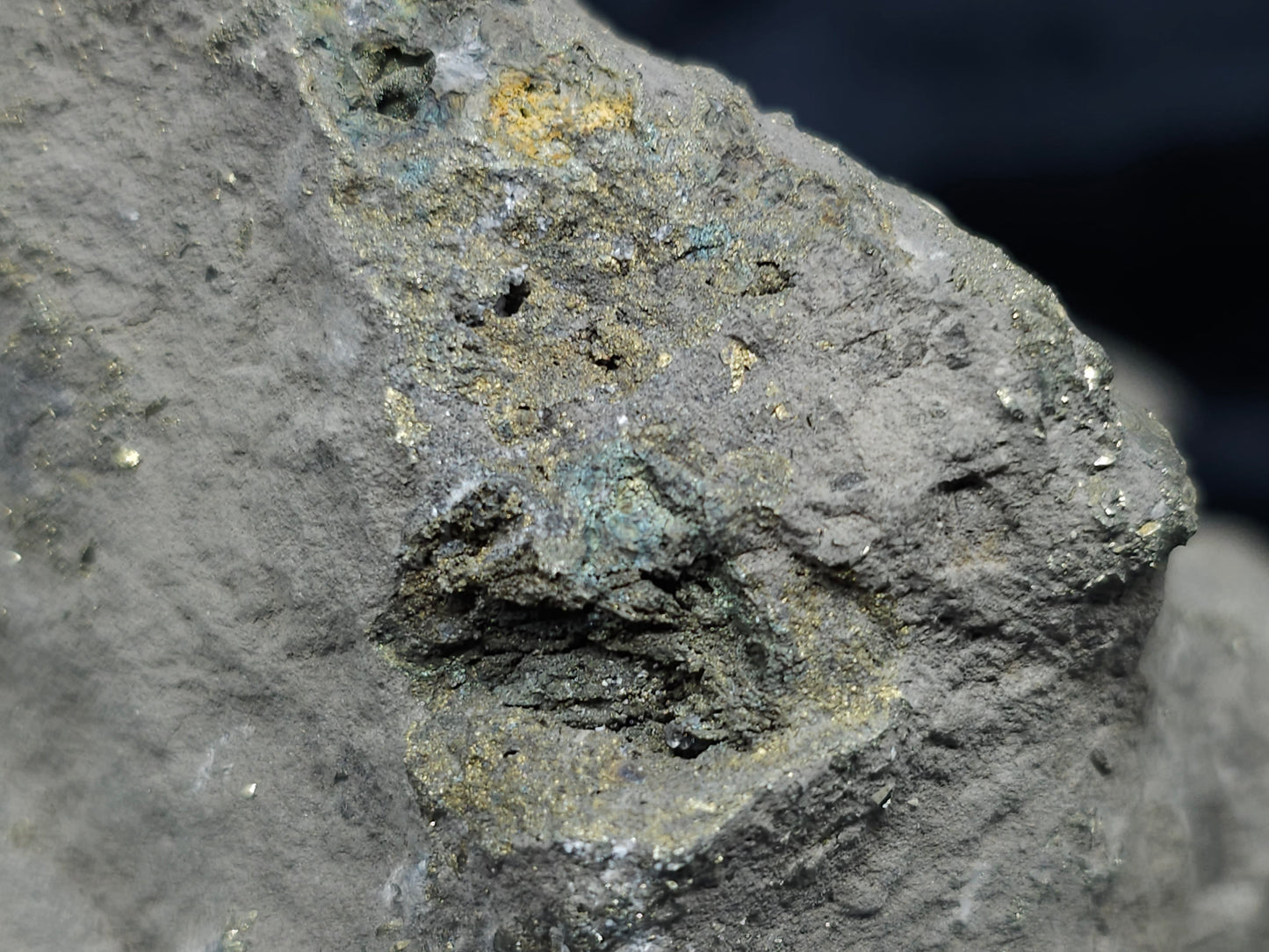 #55008 Fossil flower with peacock ore Chalcopyrite coating and Nailhead Spar Calcite with multiple fossils in the matrix