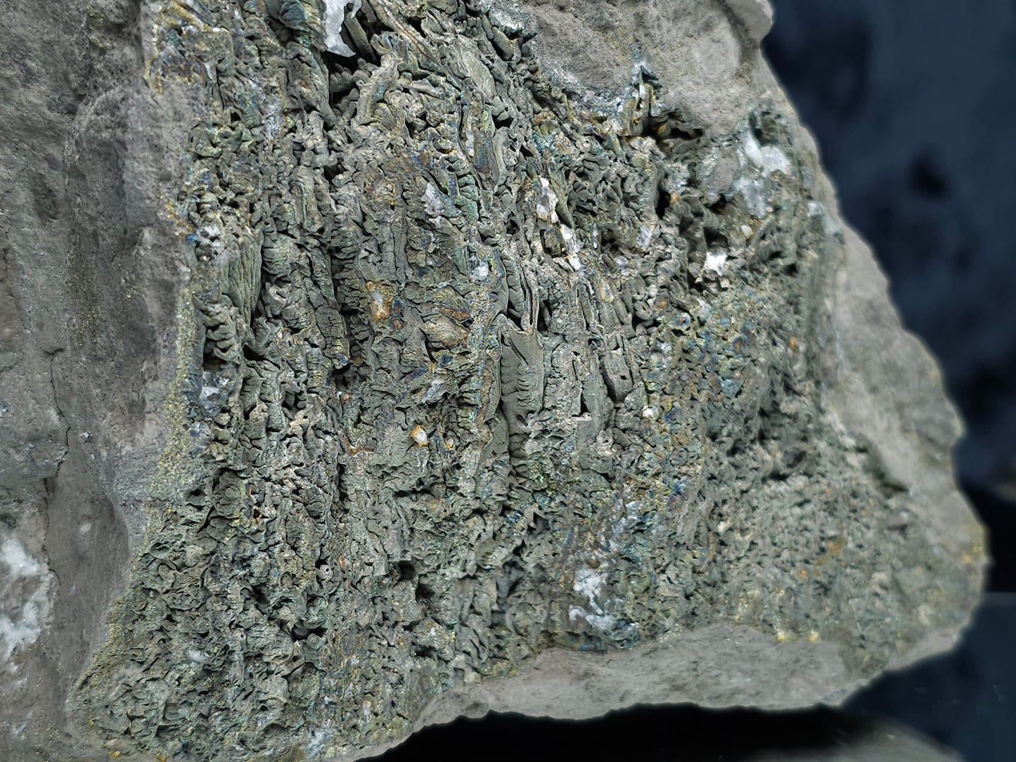 #55008 Fossil flower with peacock ore Chalcopyrite coating and Nailhead Spar Calcite with multiple fossils in the matrix