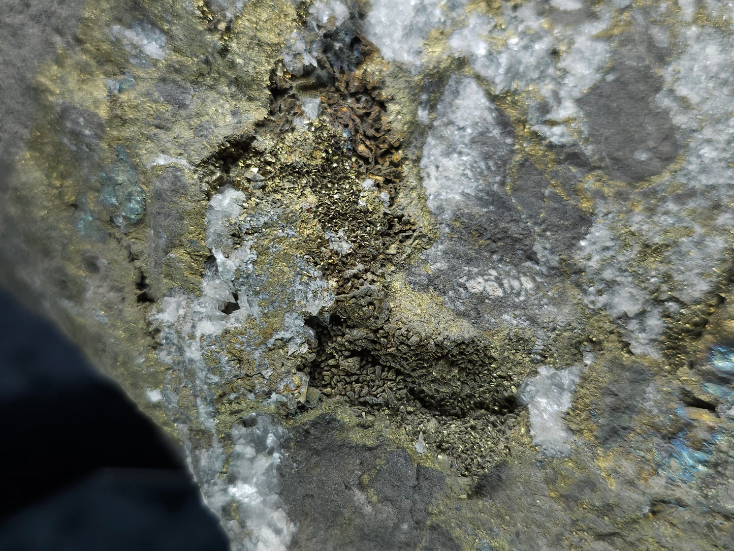 #55013 Fossil flower with peacock ore Chalcopyrite coating with hydrothermal Calcite deposit  it also have uncommon hard to find Chalcopyrite flake formation with multiple fossils in the matrix