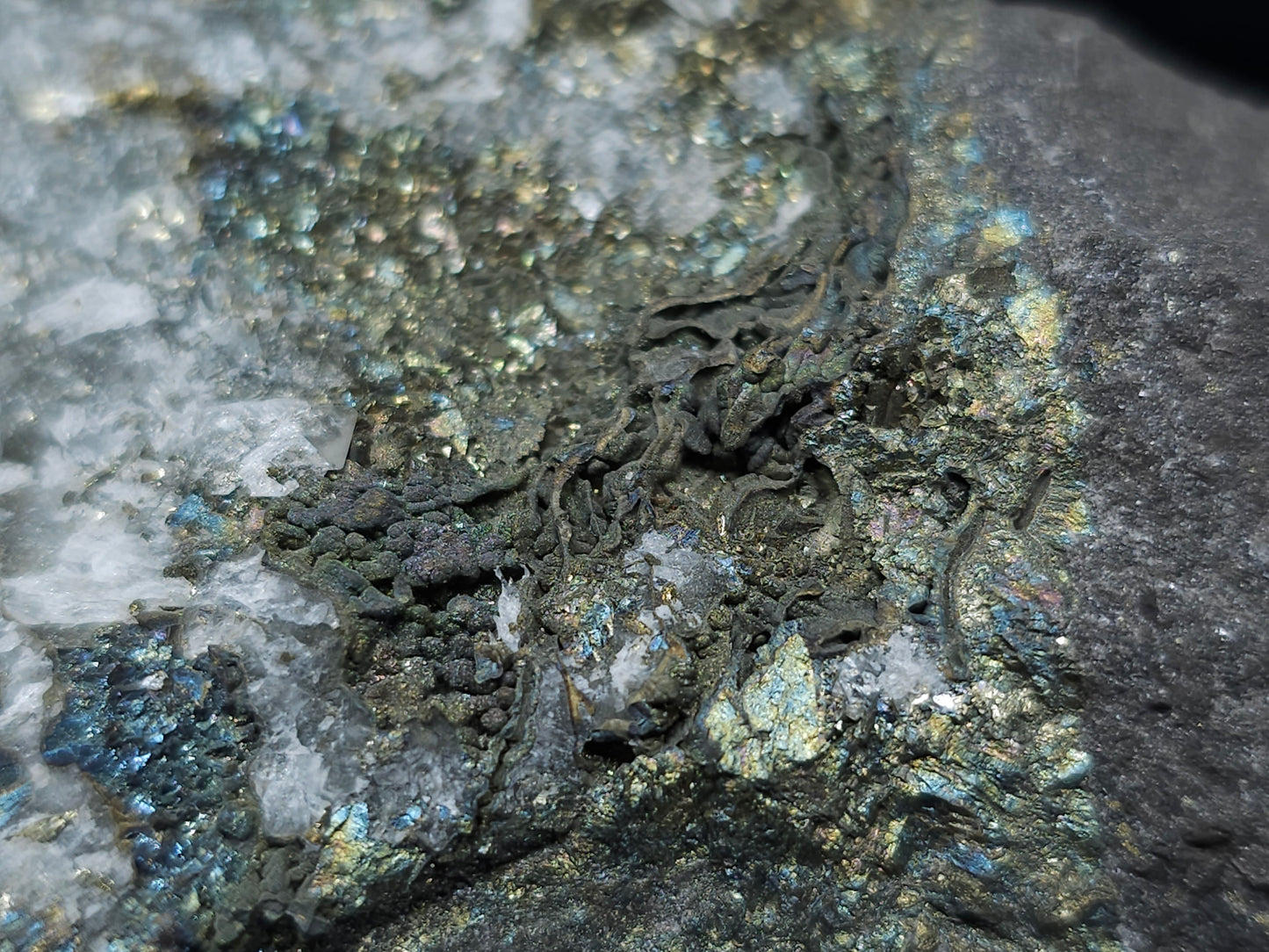 #55015 Fossil flower with peacock ore and golden Chalcopyrite coating and Nailhead Spar Calcite with multiple fossils in the matrix