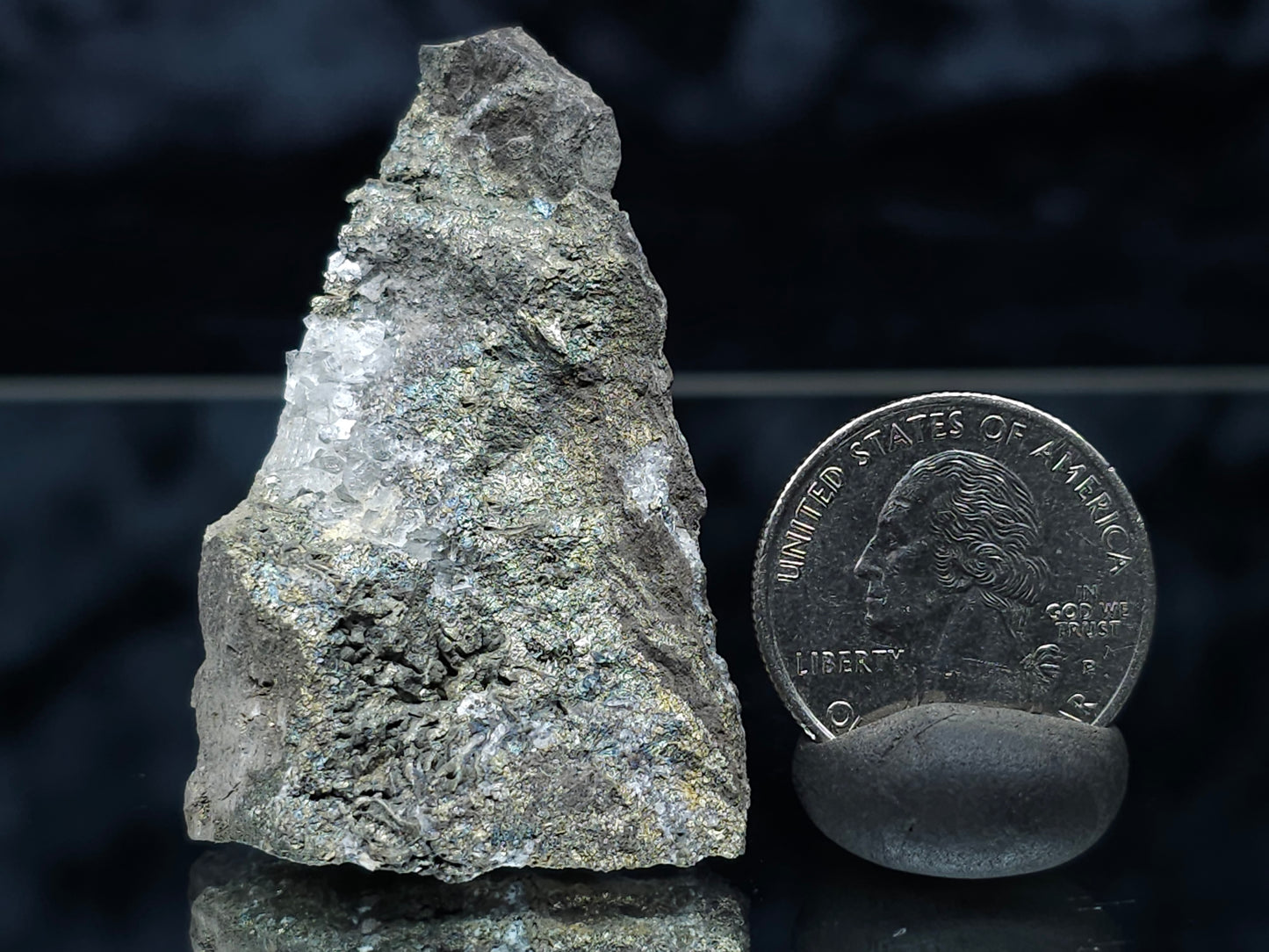 #55017 Fossil flower with peacock ore Chalcopyrite coating and Calcite lines with multiple fossils in the matrix